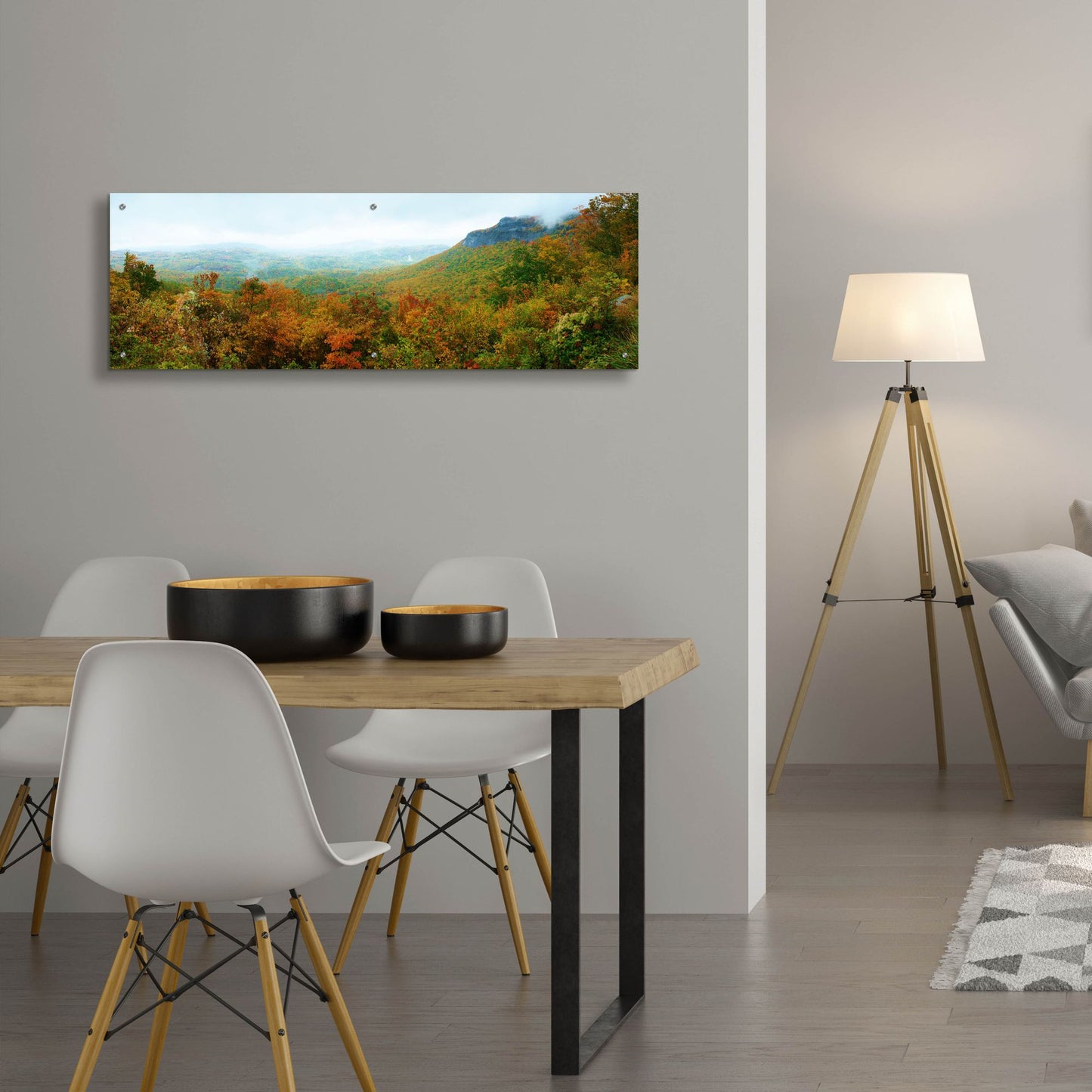 Epic Art 'Whiteside Overlook' by Steve Vaughn, Acrylic Glass Wall Art,48x16