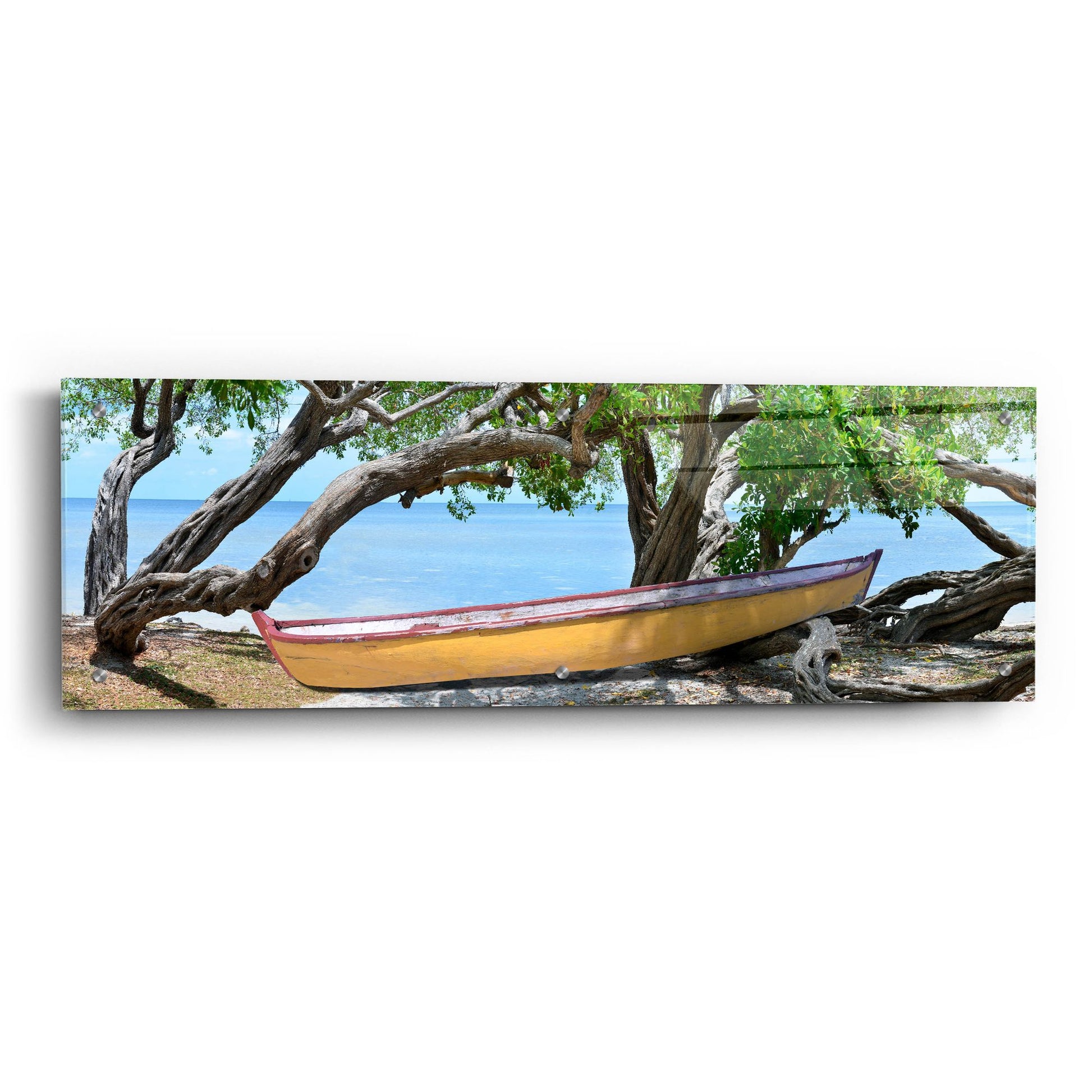 Epic Art 'Yellow Bird Boat' by Steve Vaughn, Acrylic Glass Wall Art,36x12