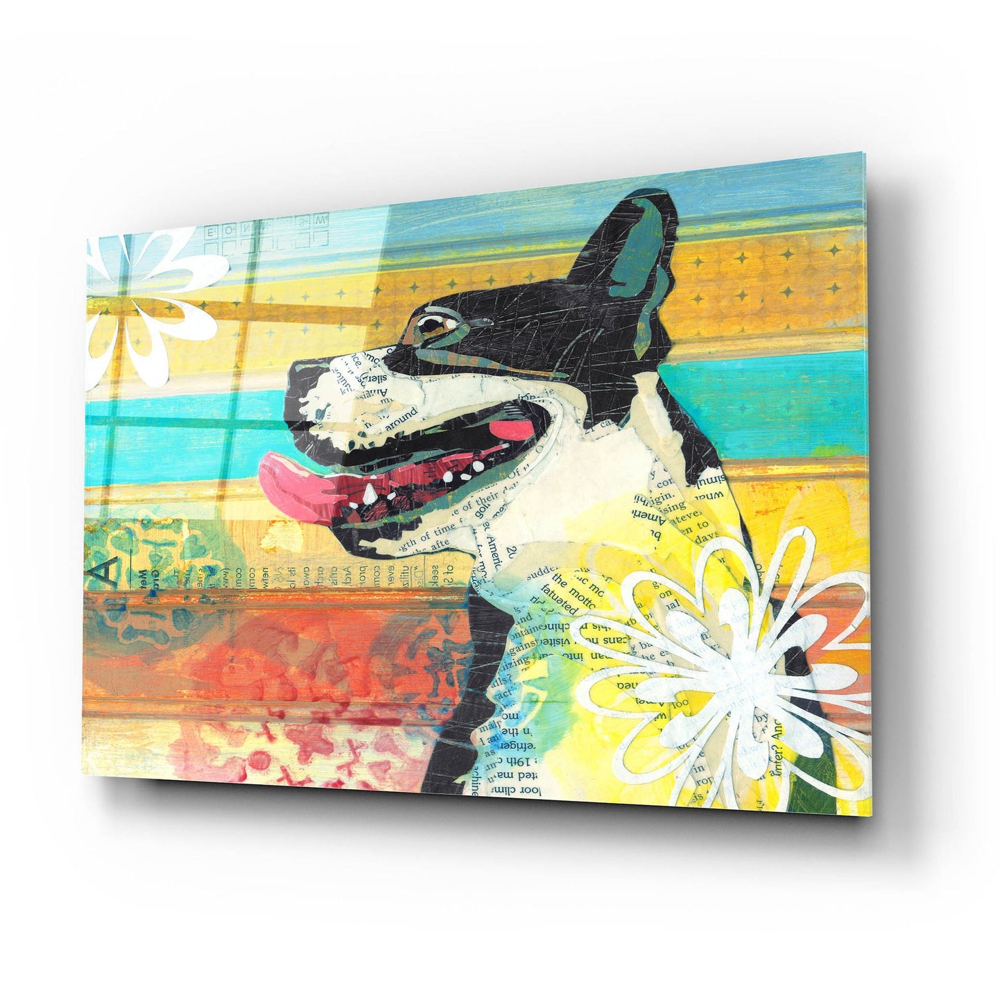 Epic Art 'Beast Friend' by Judy Verhoeven, Acrylic Glass Wall Art,24x16