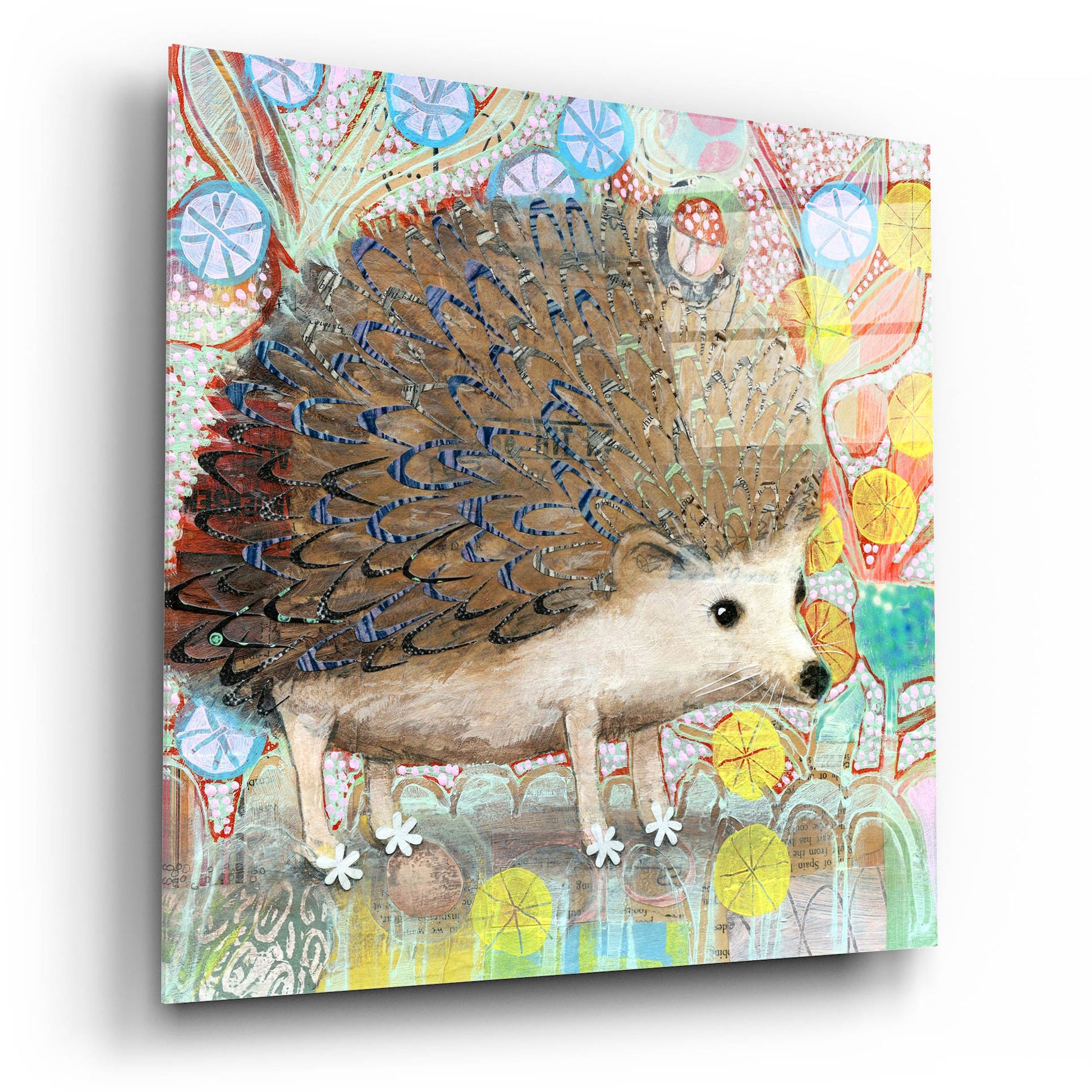 Epic Art 'Hedgie' by Judy Verhoeven, Acrylic Glass Wall Art,12x12