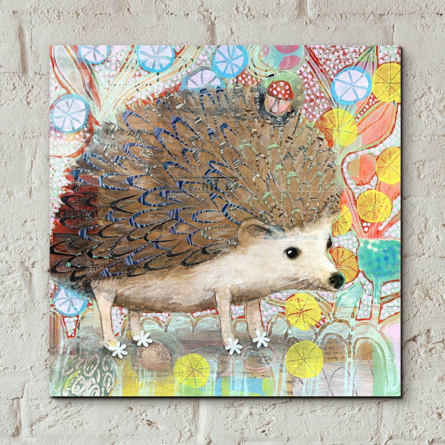 Epic Art 'Hedgie' by Judy Verhoeven, Acrylic Glass Wall Art,12x12