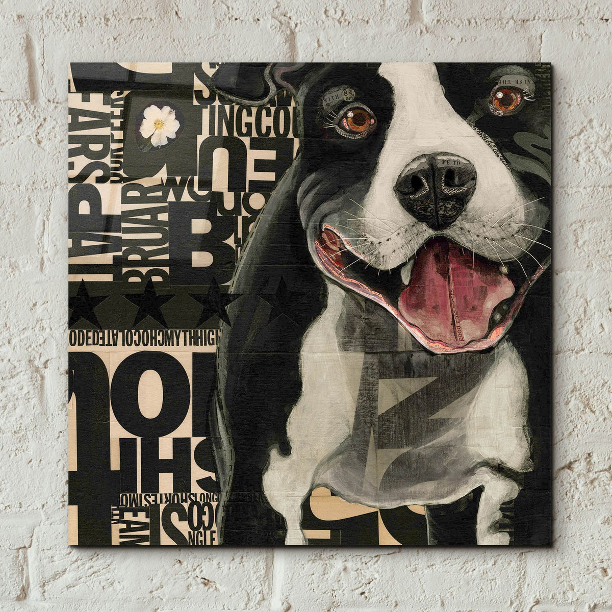 Epic Art 'Pit Pat' by Judy Verhoeven, Acrylic Glass Wall Art,12x12