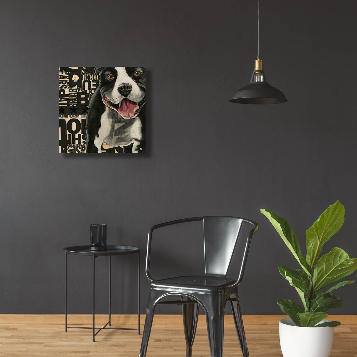 Epic Art 'Pit Pat' by Judy Verhoeven, Acrylic Glass Wall Art,24x24