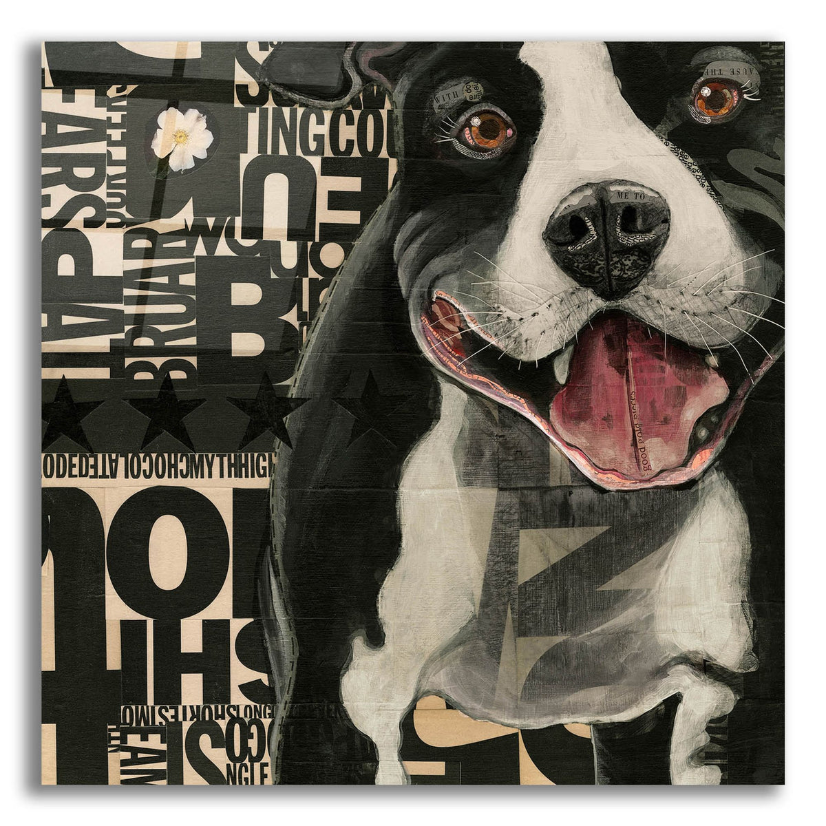 Epic Art 'Pit Pat' by Judy Verhoeven, Acrylic Glass Wall Art
