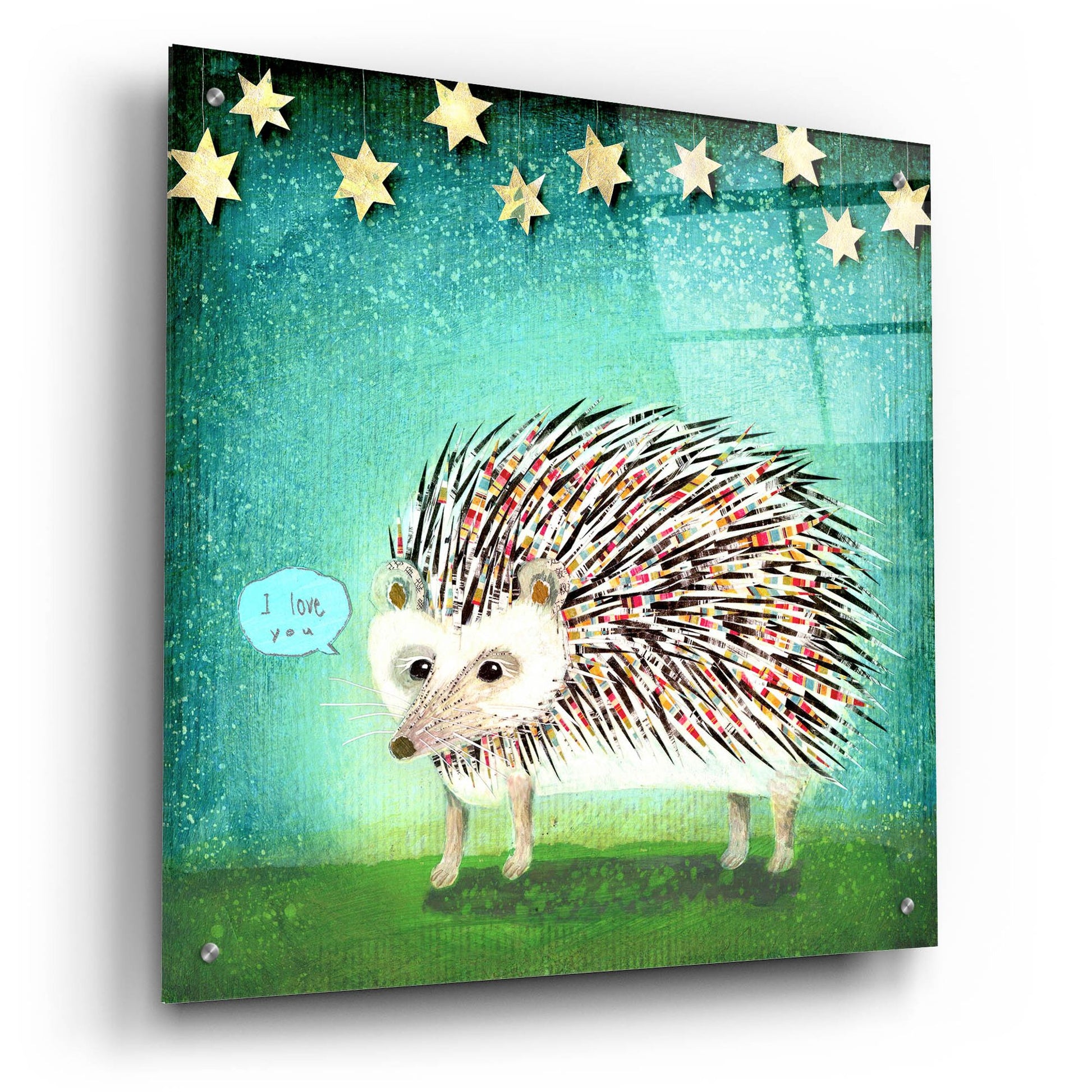 Epic Art 'Porcupine For Thomas' by Judy Verhoeven, Acrylic Glass Wall Art,24x24