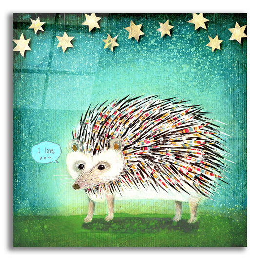 Epic Art 'Porcupine For Thomas' by Judy Verhoeven, Acrylic Glass Wall Art