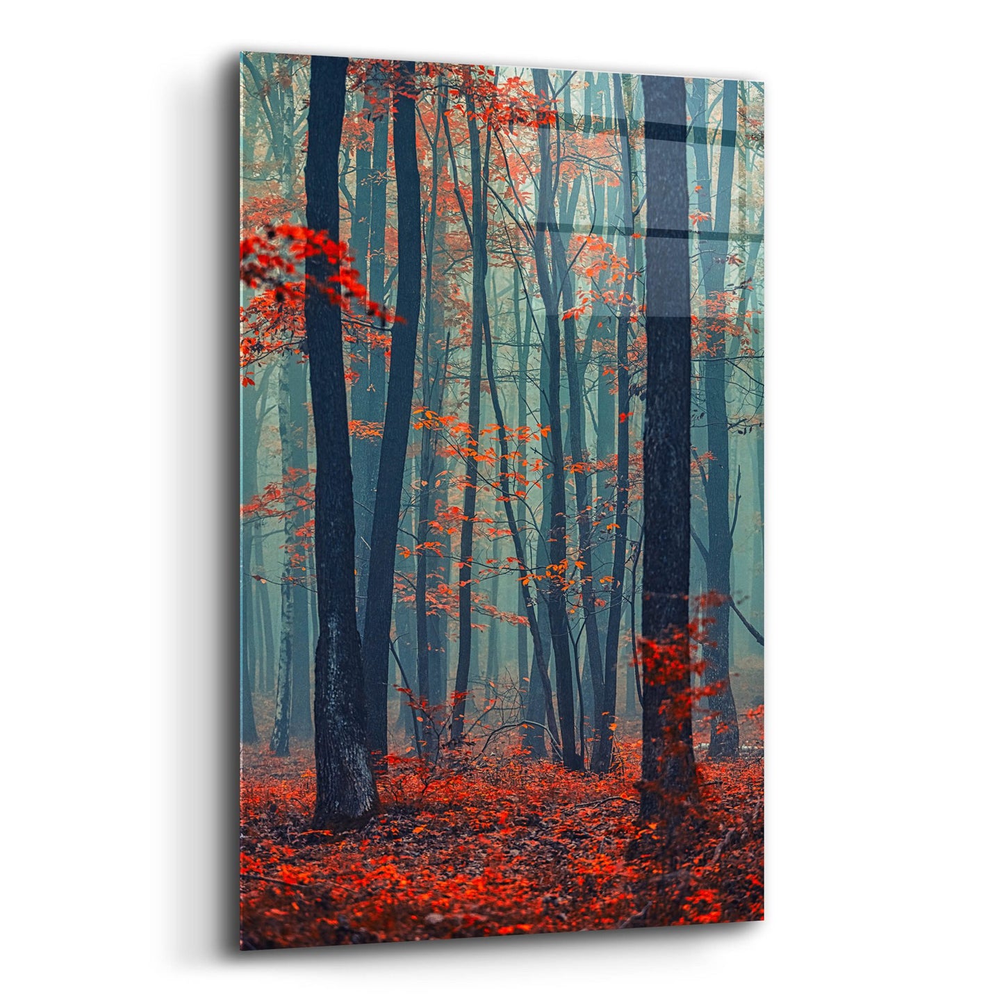 Epic Art 'Autumn Forest In The Mist' by Igor Vitomirov, Acrylic Glass Wall Art,12x16