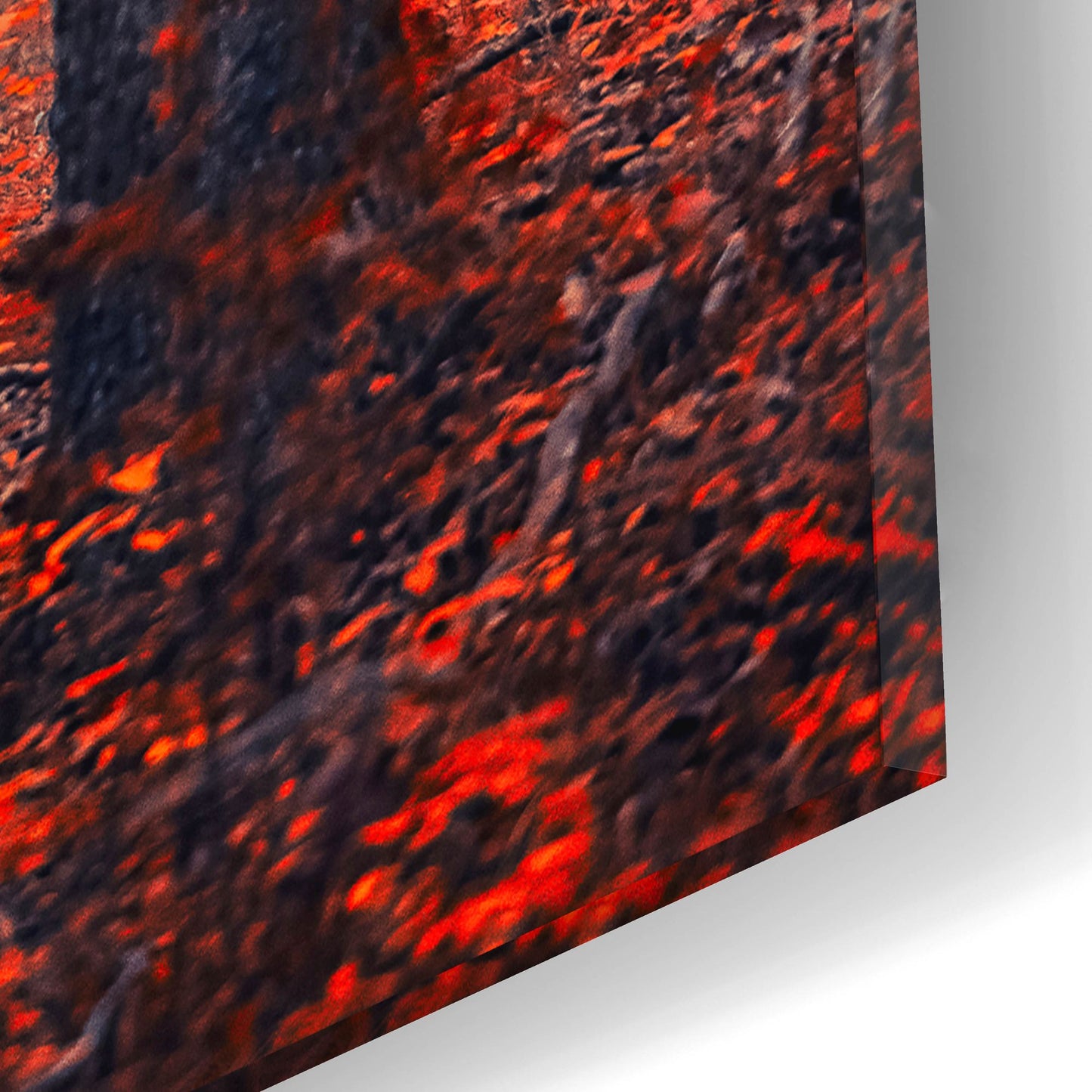 Epic Art 'Autumn Forest In The Mist' by Igor Vitomirov, Acrylic Glass Wall Art,12x16