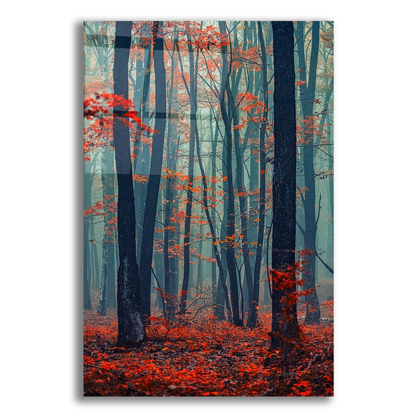 Epic Art 'Autumn Forest In The Mist' by Igor Vitomirov, Acrylic Glass Wall Art