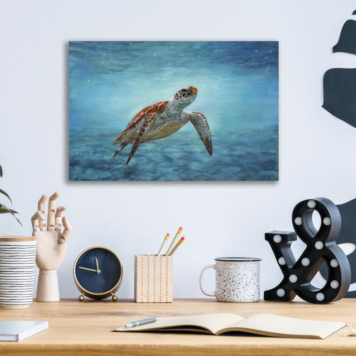 Epic Art 'Sea Turtle2 by David Stribbling, Acrylic Glass Wall Art,16x12