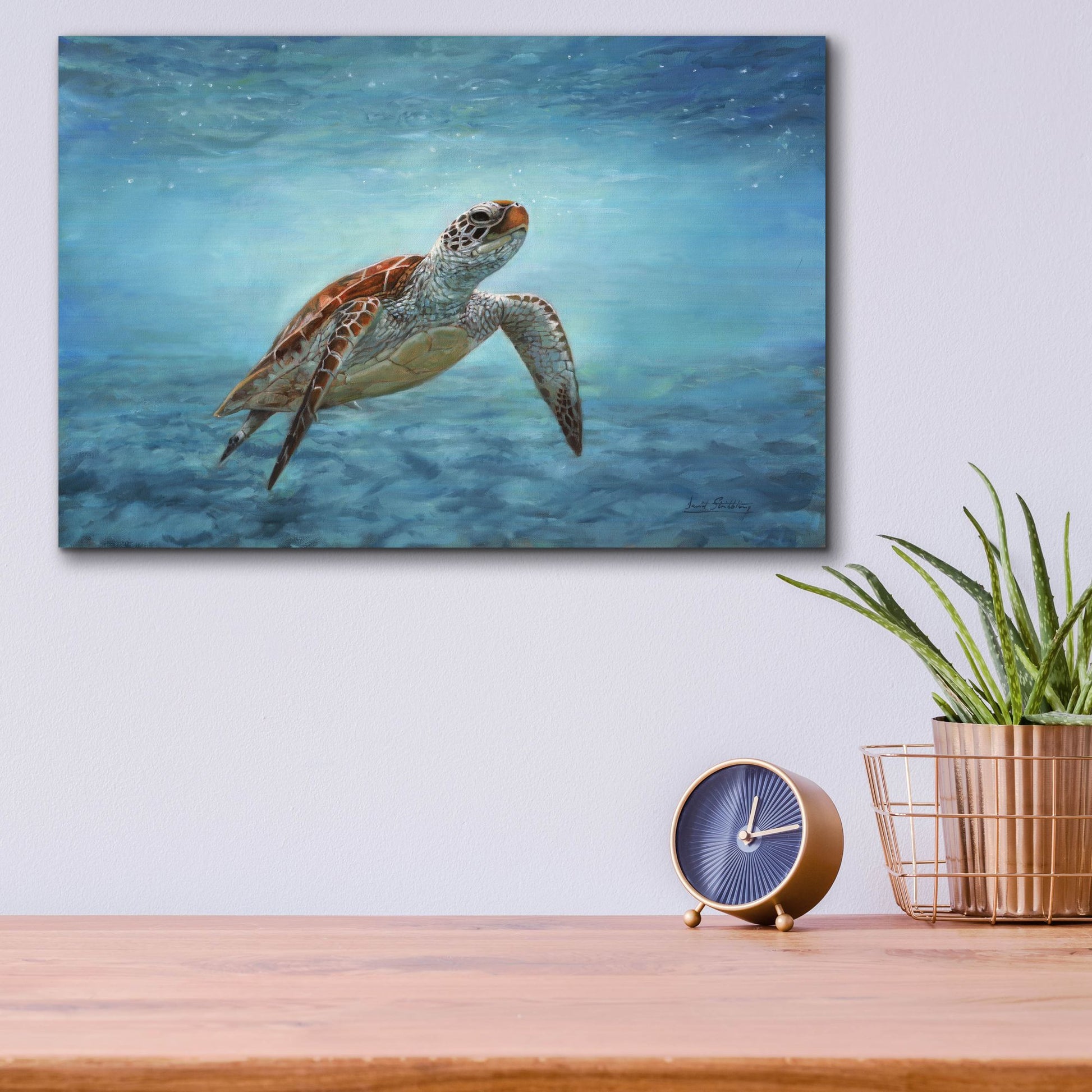 Epic Art 'Sea Turtle2 by David Stribbling, Acrylic Glass Wall Art,16x12