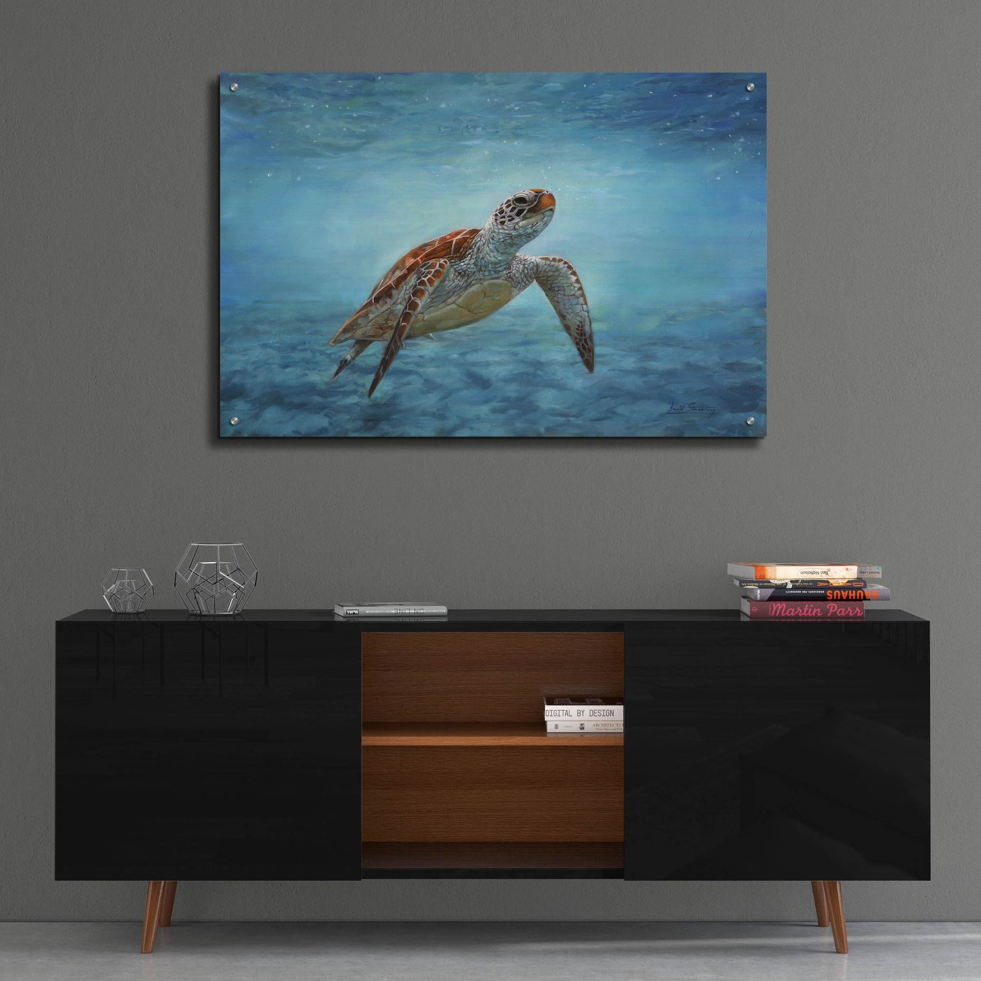 Epic Art 'Sea Turtle2 by David Stribbling, Acrylic Glass Wall Art,36x24