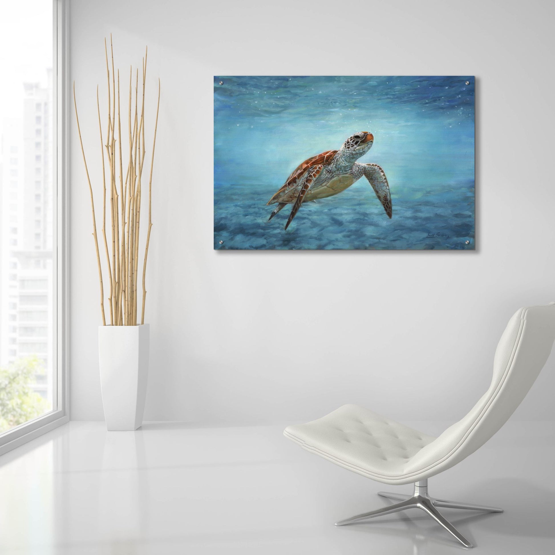 Epic Art 'Sea Turtle2 by David Stribbling, Acrylic Glass Wall Art,36x24