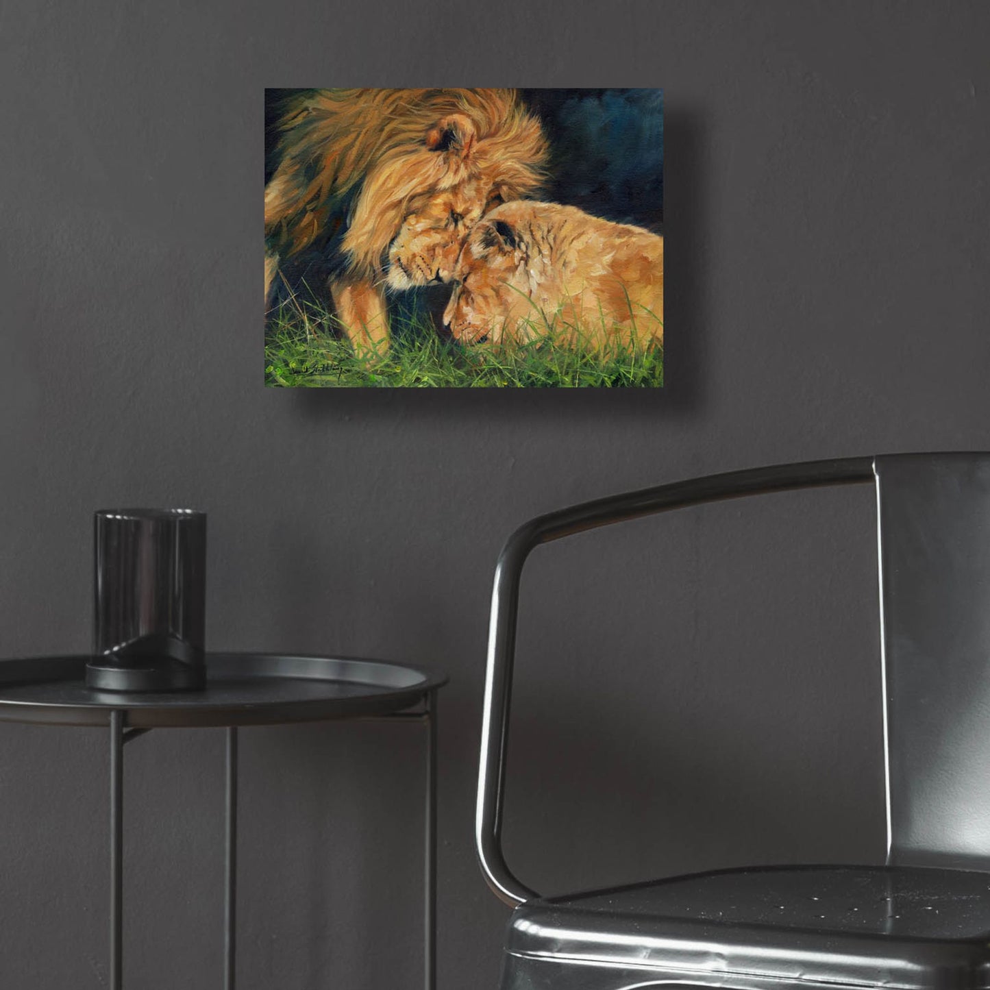 Epic Art 'Lion Love2 by David Stribbling, Acrylic Glass Wall Art,16x12