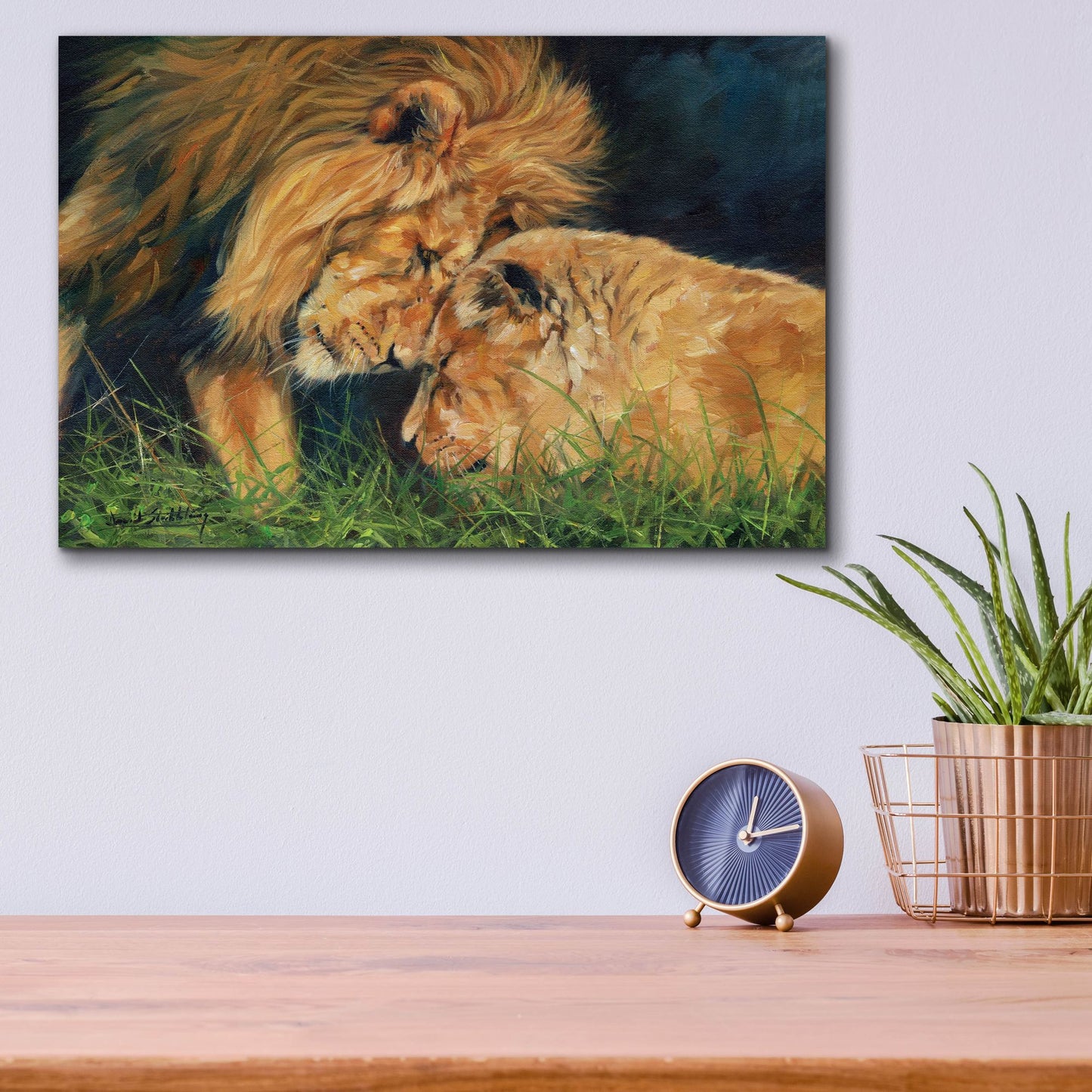 Epic Art 'Lion Love2 by David Stribbling, Acrylic Glass Wall Art,16x12