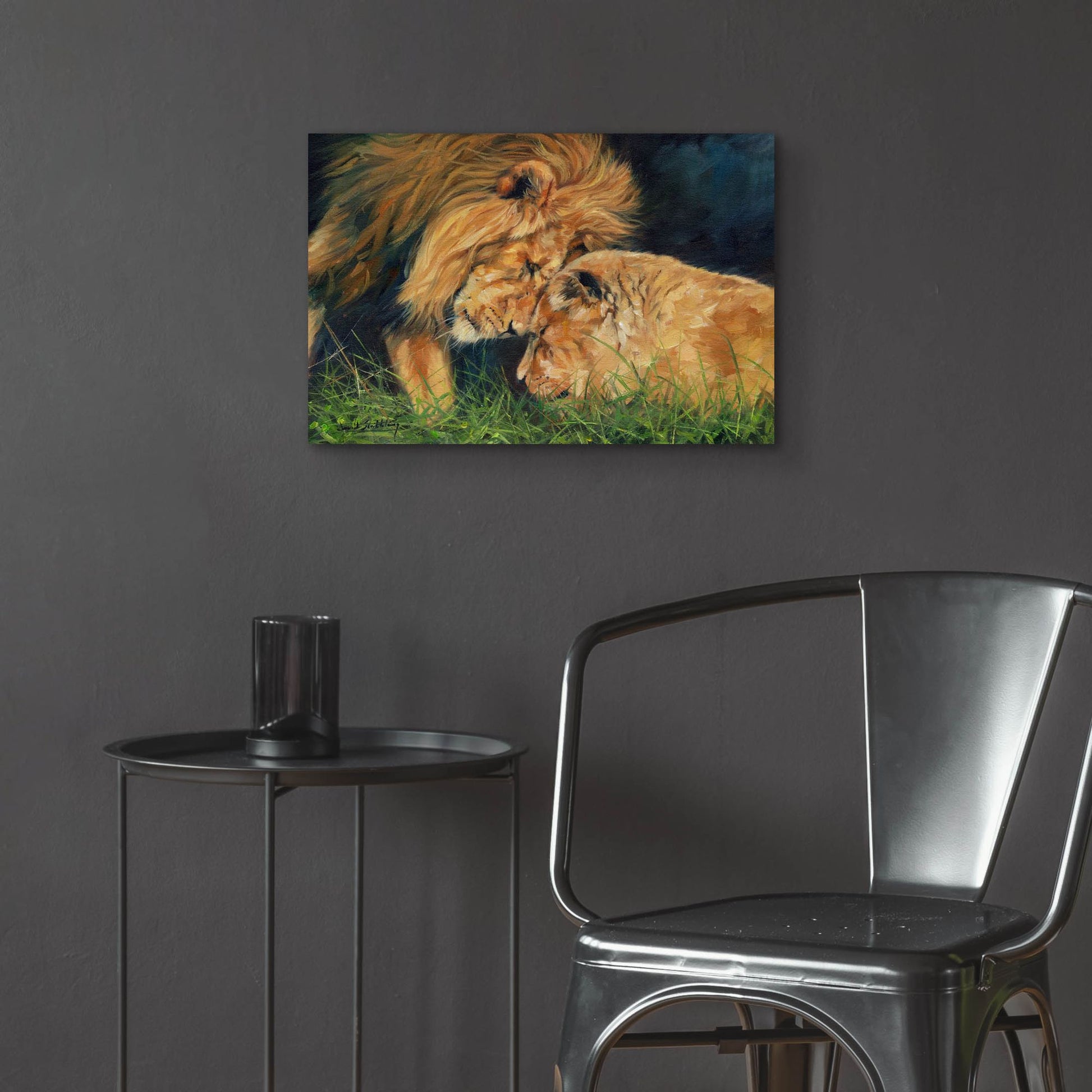 Epic Art 'Lion Love2 by David Stribbling, Acrylic Glass Wall Art,24x16