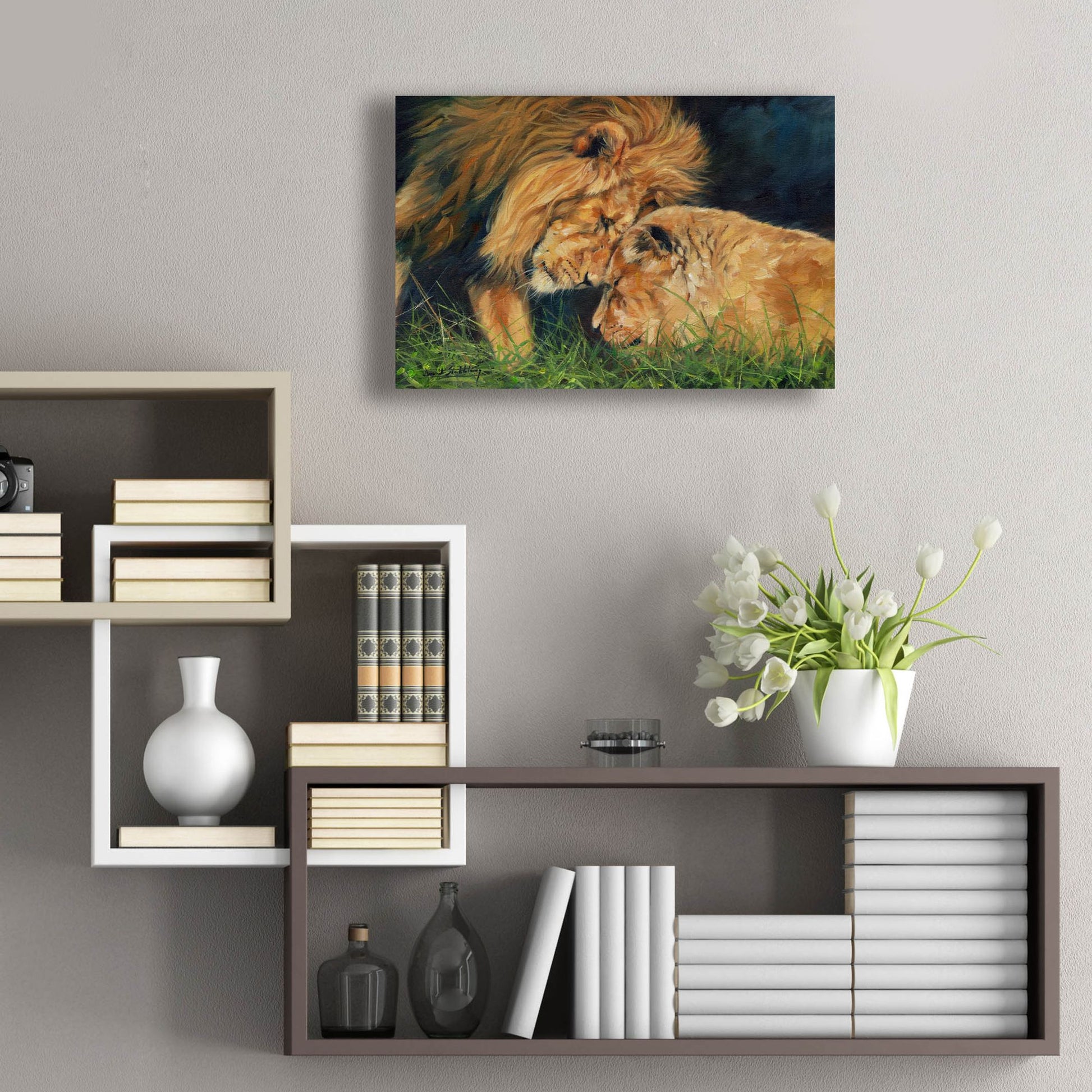 Epic Art 'Lion Love2 by David Stribbling, Acrylic Glass Wall Art,24x16