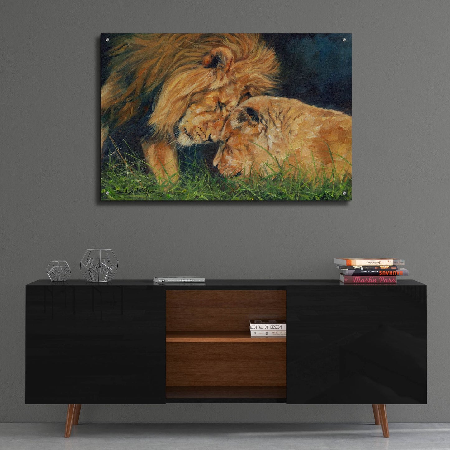 Epic Art 'Lion Love2 by David Stribbling, Acrylic Glass Wall Art,36x24