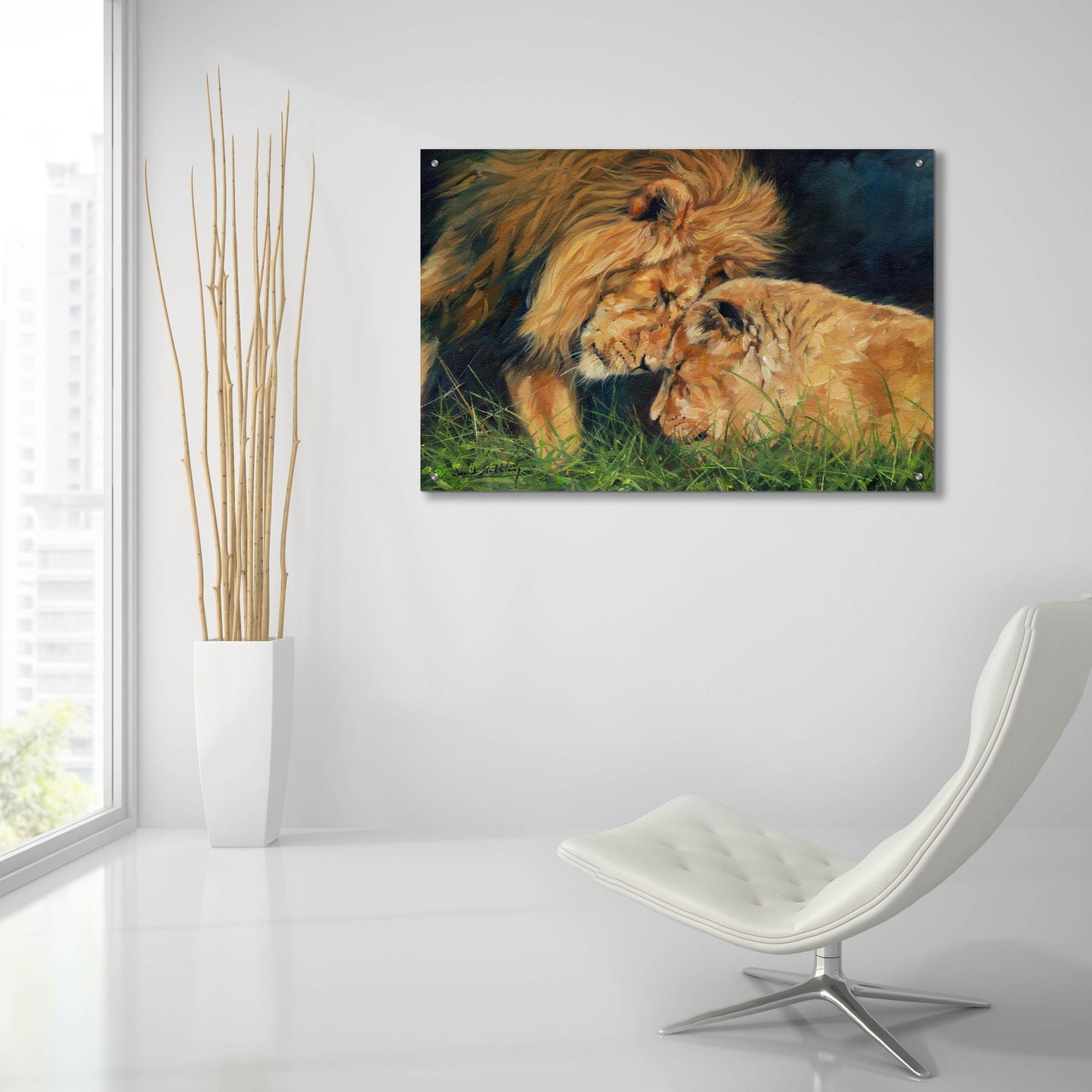 Epic Art 'Lion Love2 by David Stribbling, Acrylic Glass Wall Art,36x24