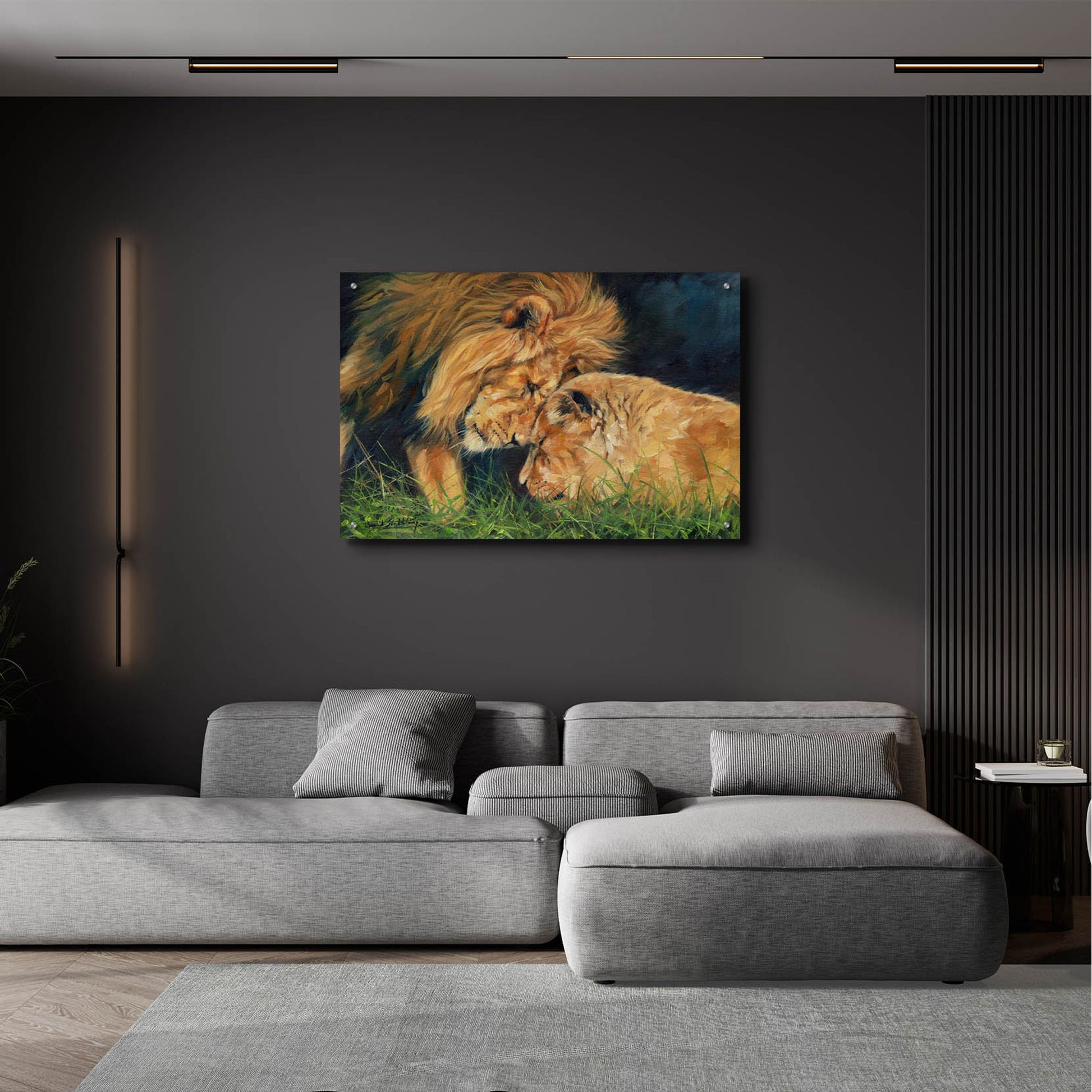 Epic Art 'Lion Love2 by David Stribbling, Acrylic Glass Wall Art,36x24