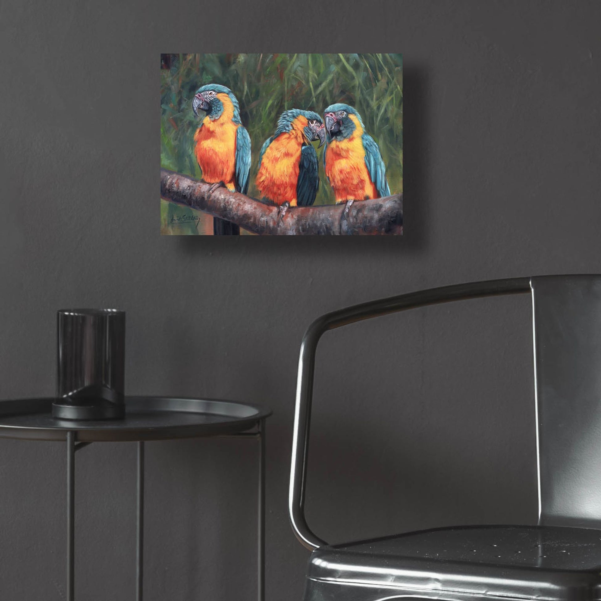 Epic Art '3 Macaws2 by David Stribbling, Acrylic Glass Wall Art,16x12