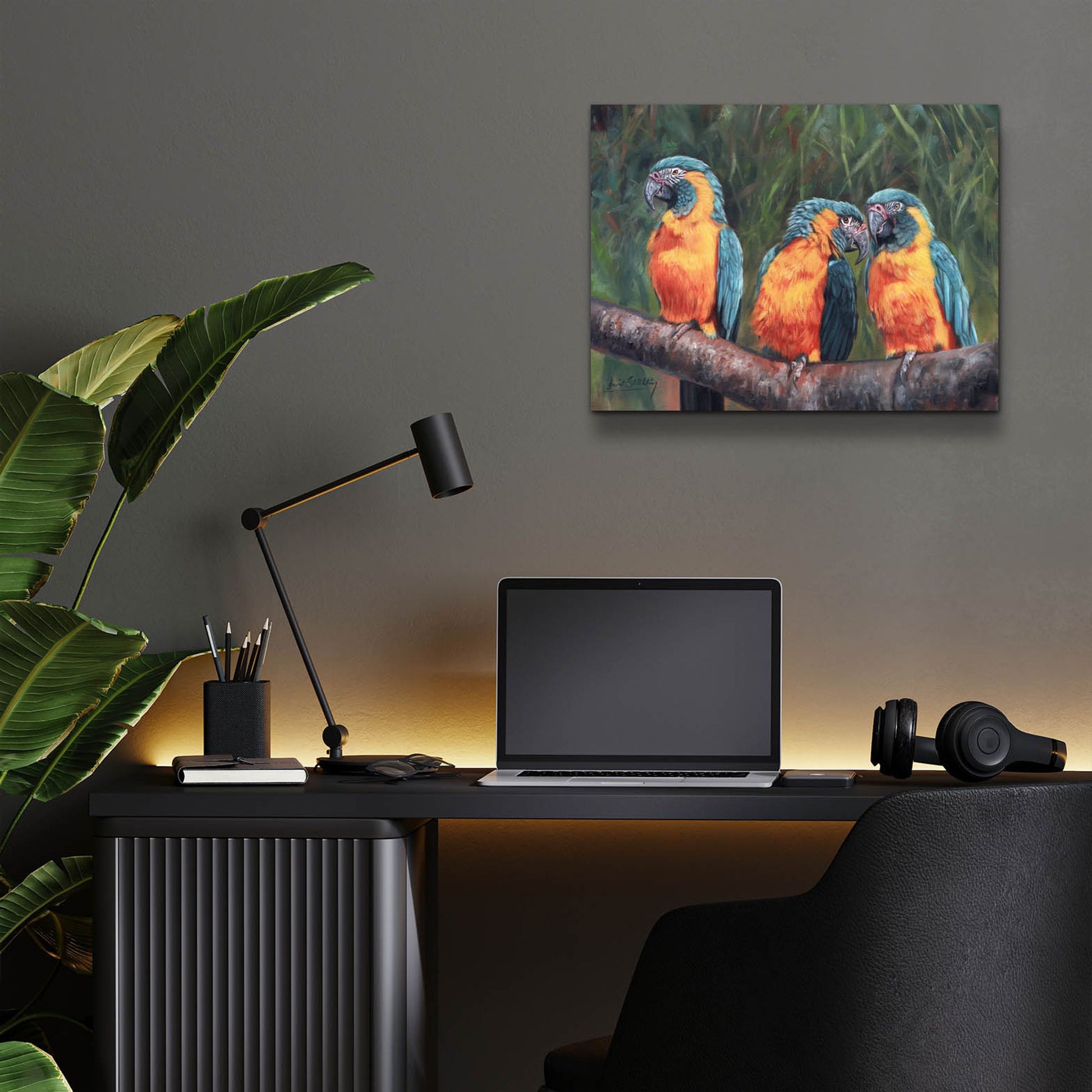 Epic Art '3 Macaws2 by David Stribbling, Acrylic Glass Wall Art,16x12