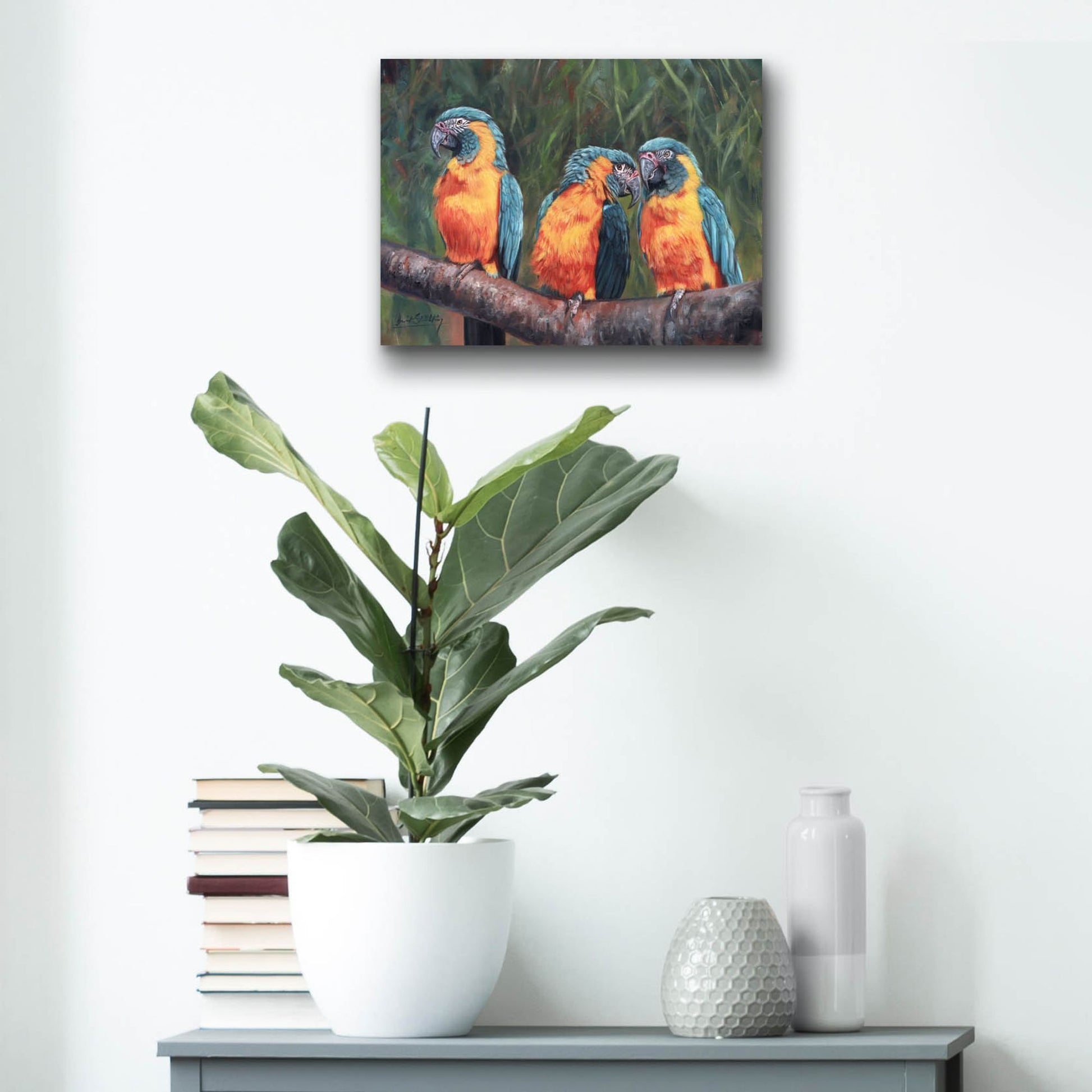 Epic Art '3 Macaws2 by David Stribbling, Acrylic Glass Wall Art,16x12