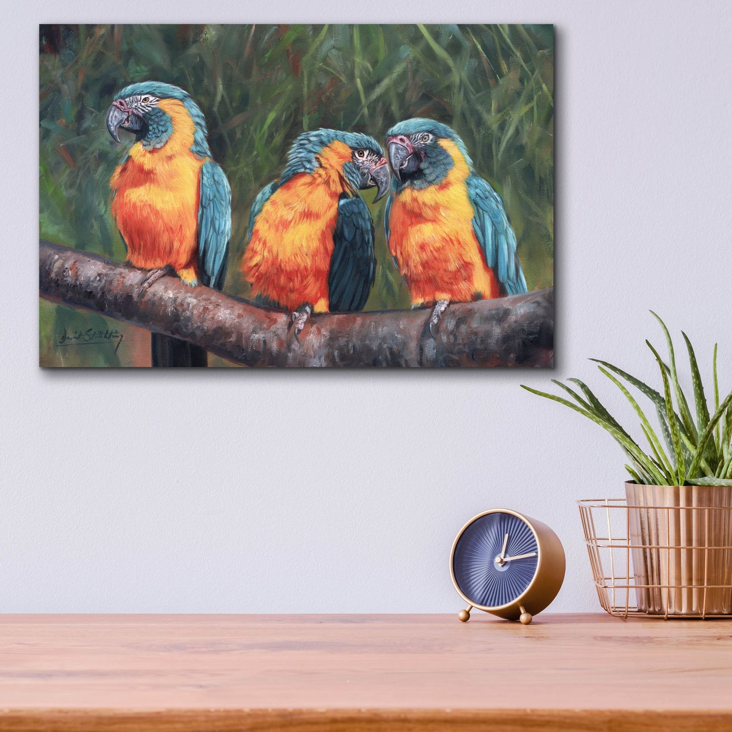 Epic Art '3 Macaws2 by David Stribbling, Acrylic Glass Wall Art,16x12