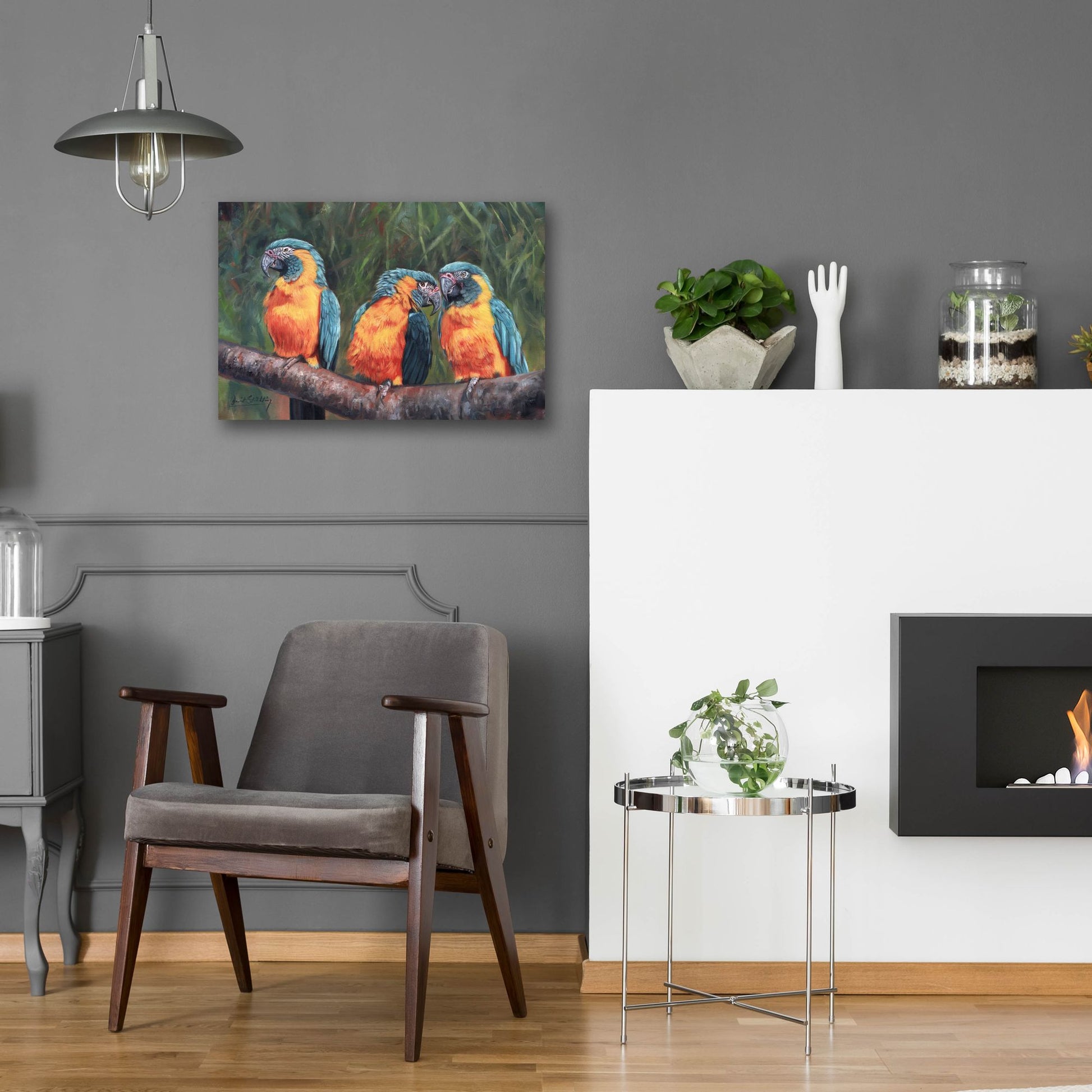 Epic Art '3 Macaws2 by David Stribbling, Acrylic Glass Wall Art,24x16