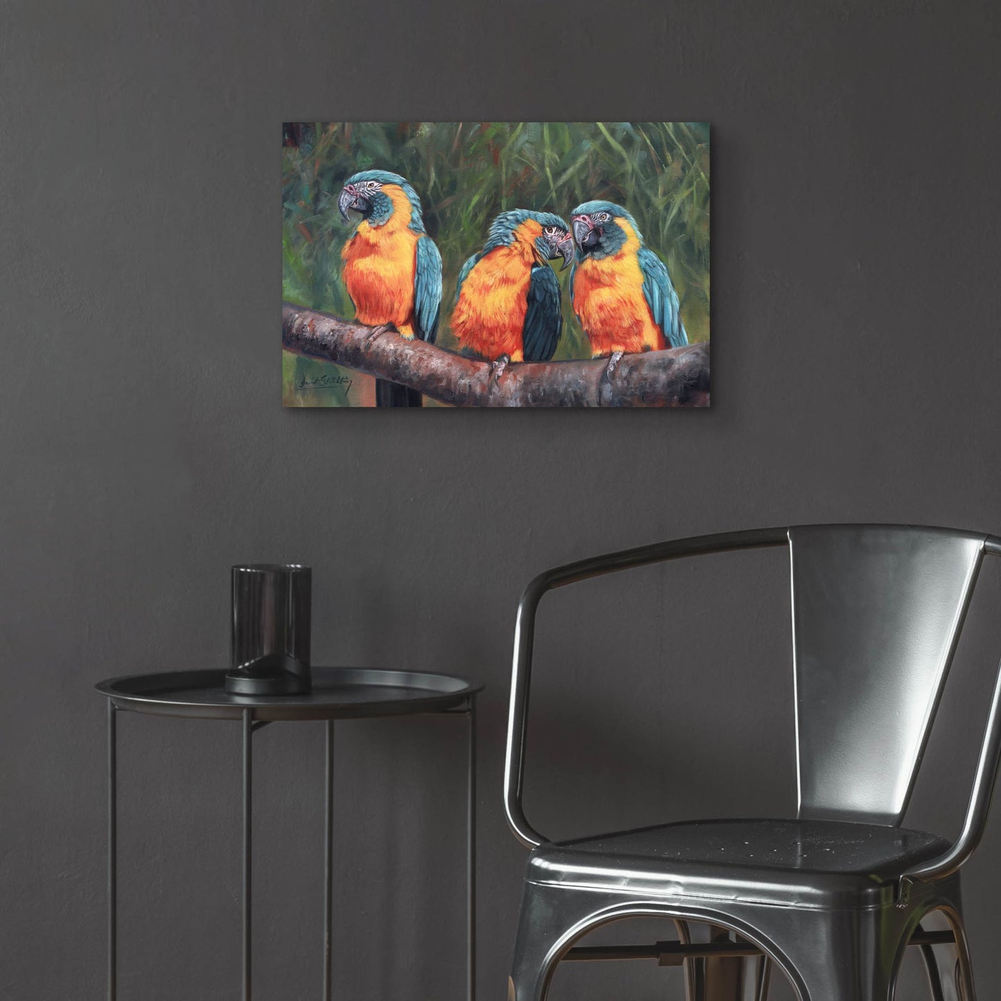 Epic Art '3 Macaws2 by David Stribbling, Acrylic Glass Wall Art,24x16