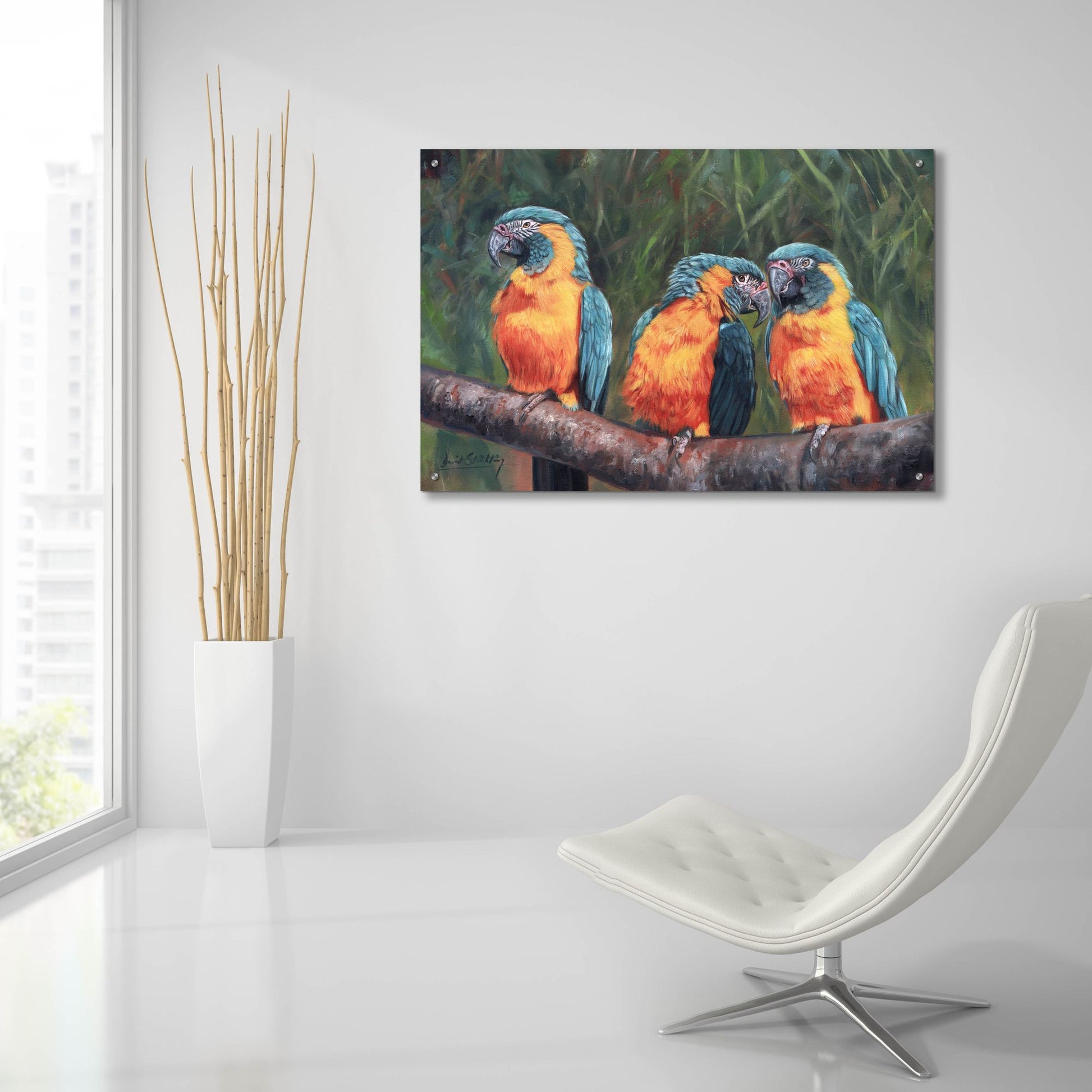 Epic Art '3 Macaws2 by David Stribbling, Acrylic Glass Wall Art,36x24