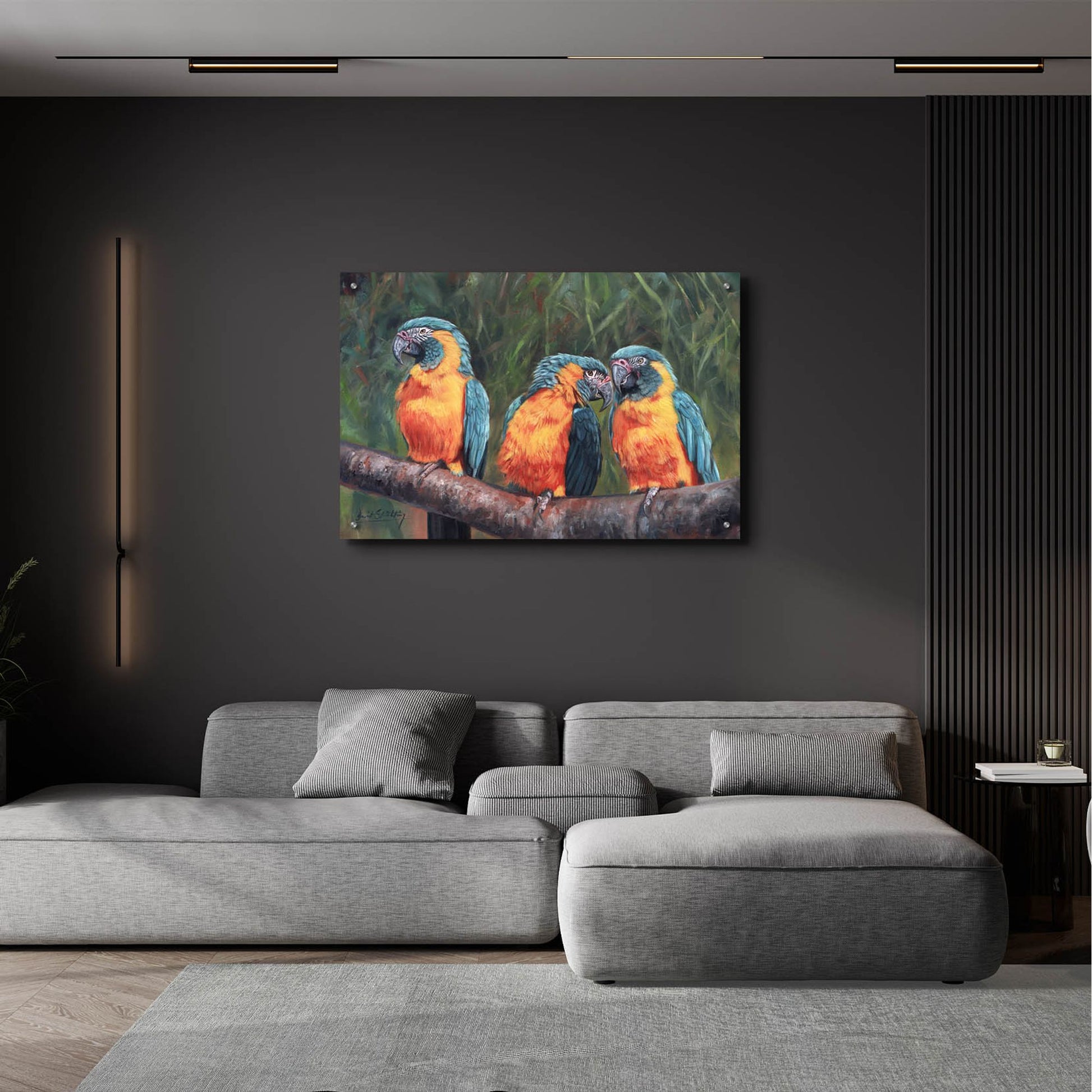 Epic Art '3 Macaws2 by David Stribbling, Acrylic Glass Wall Art,36x24