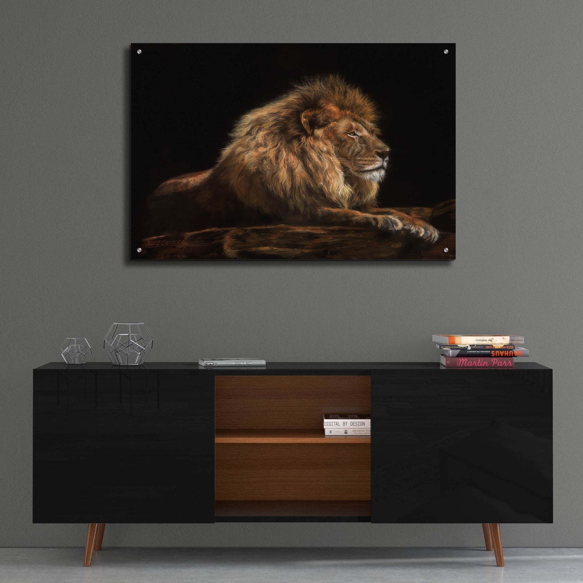 Epic Art 'Golden Lion2 by David Stribbling, Acrylic Glass Wall Art,36x24