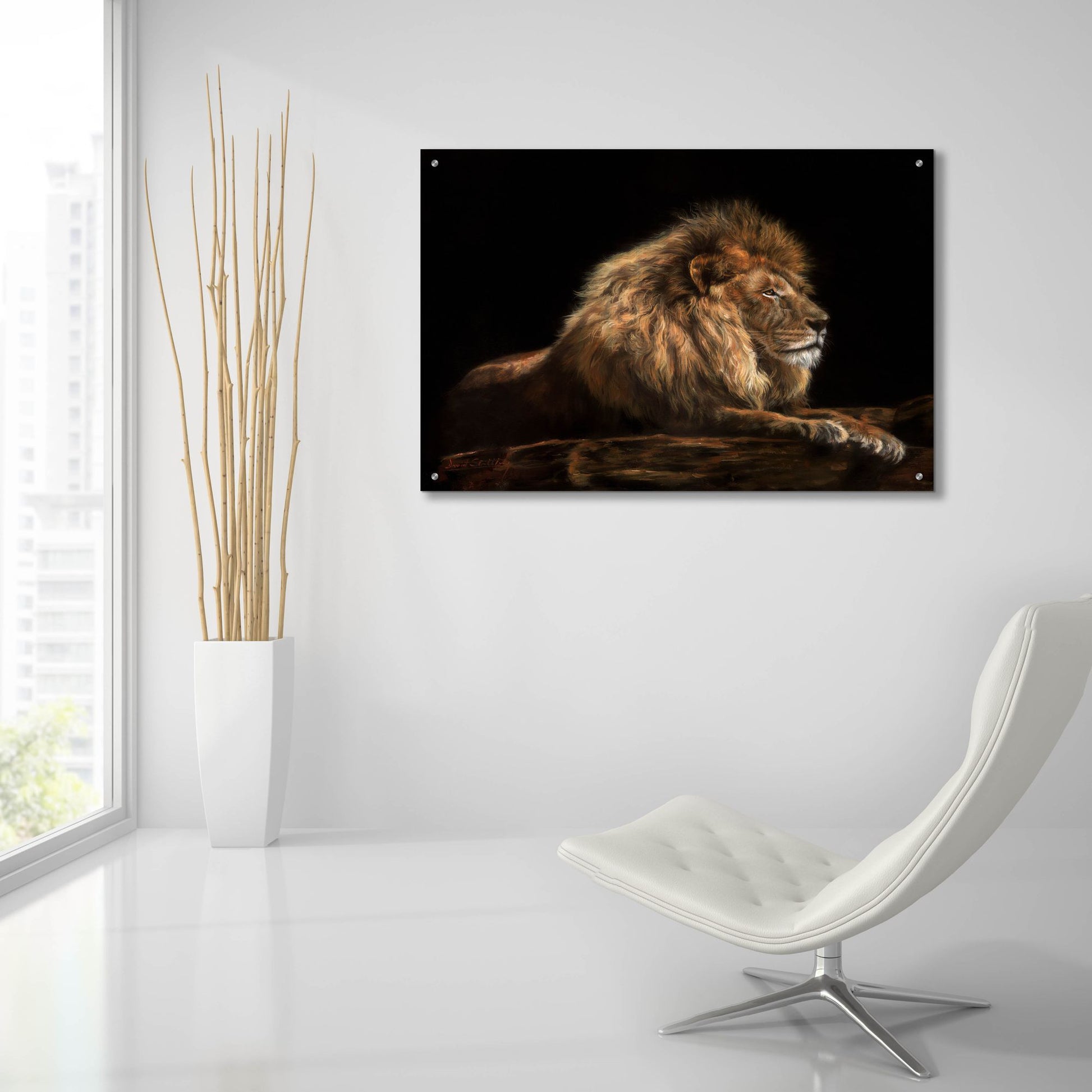 Epic Art 'Golden Lion2 by David Stribbling, Acrylic Glass Wall Art,36x24