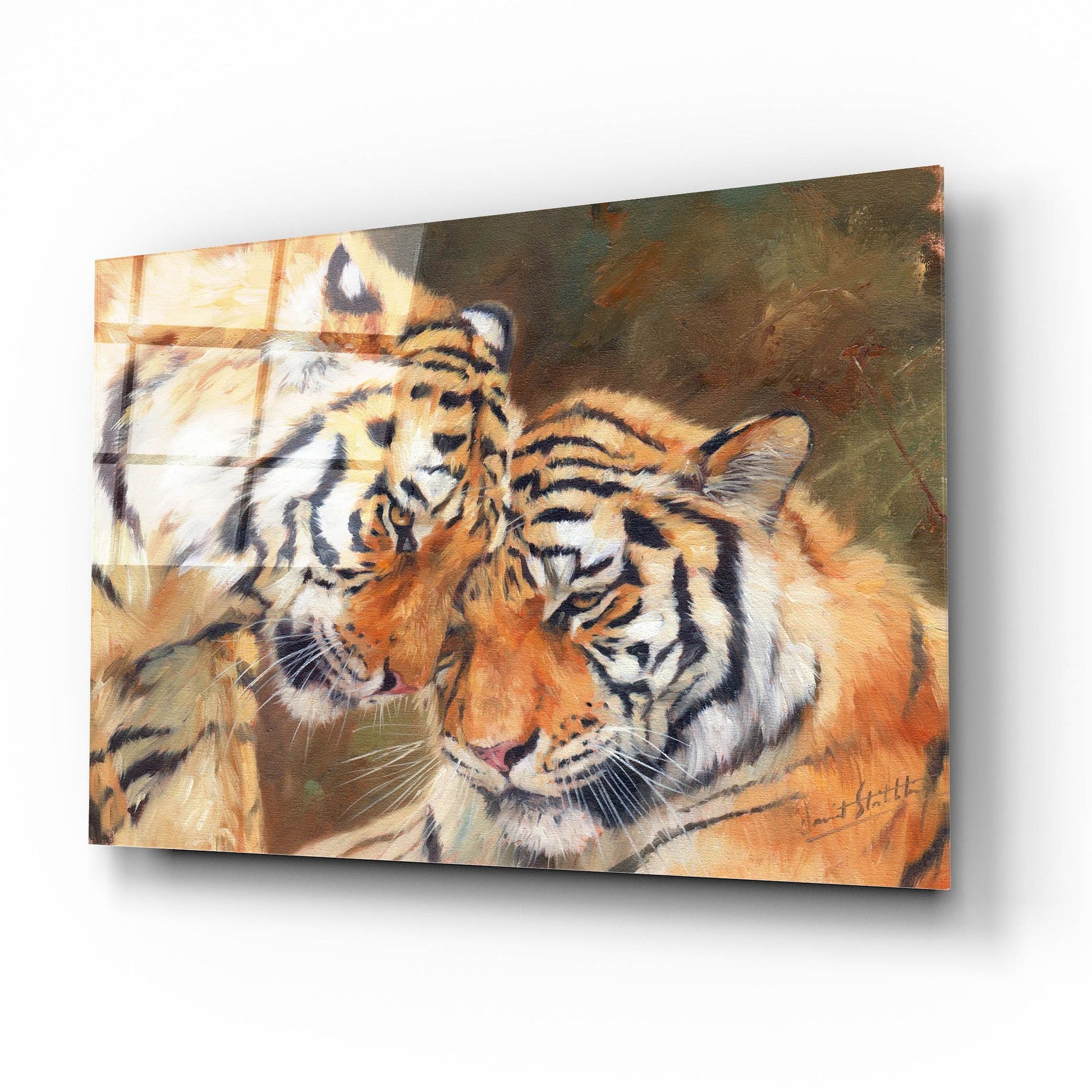 Epic Art 'Tiger Love2 by David Stribbling, Acrylic Glass Wall Art,16x12