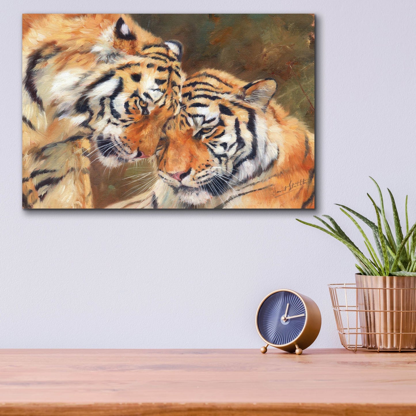 Epic Art 'Tiger Love2 by David Stribbling, Acrylic Glass Wall Art,16x12