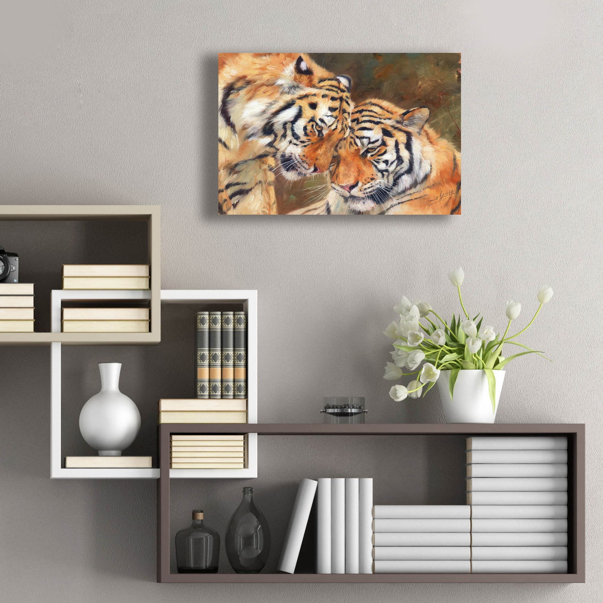 Epic Art 'Tiger Love2 by David Stribbling, Acrylic Glass Wall Art,24x16