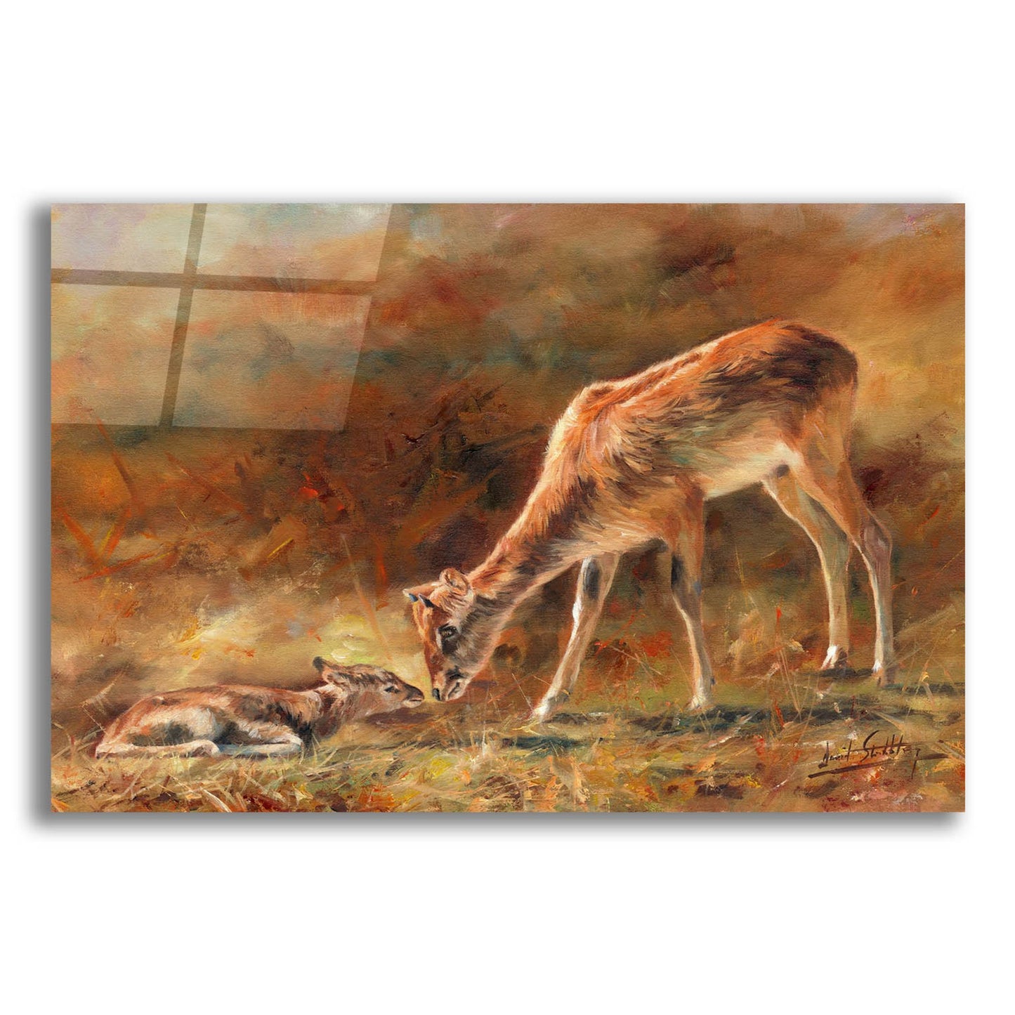 Epic Art 'Mother & Daughter2 by David Stribbling, Acrylic Glass Wall Art,24x16