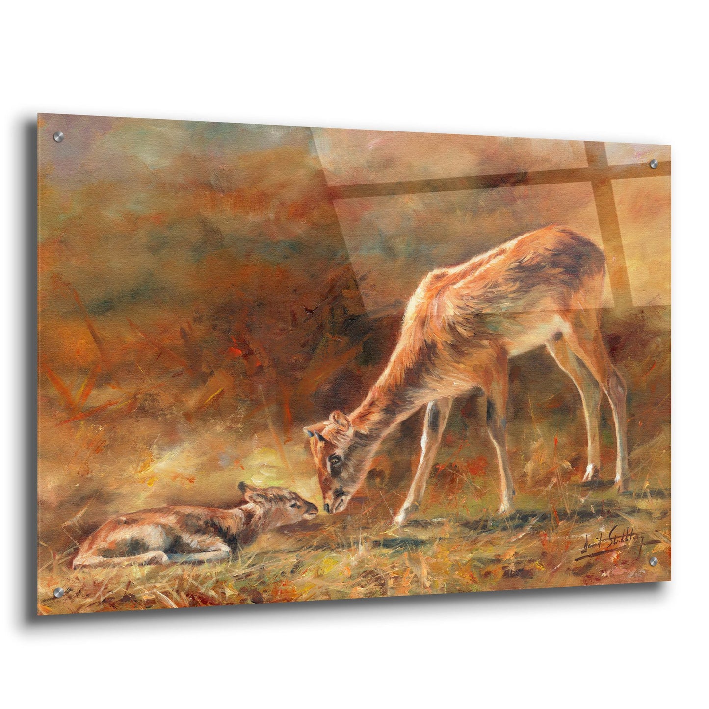 Epic Art 'Mother & Daughter2 by David Stribbling, Acrylic Glass Wall Art,36x24