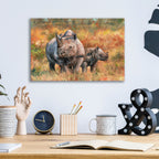 Epic Art 'Mother & Son2 by David Stribbling, Acrylic Glass Wall Art,16x12
