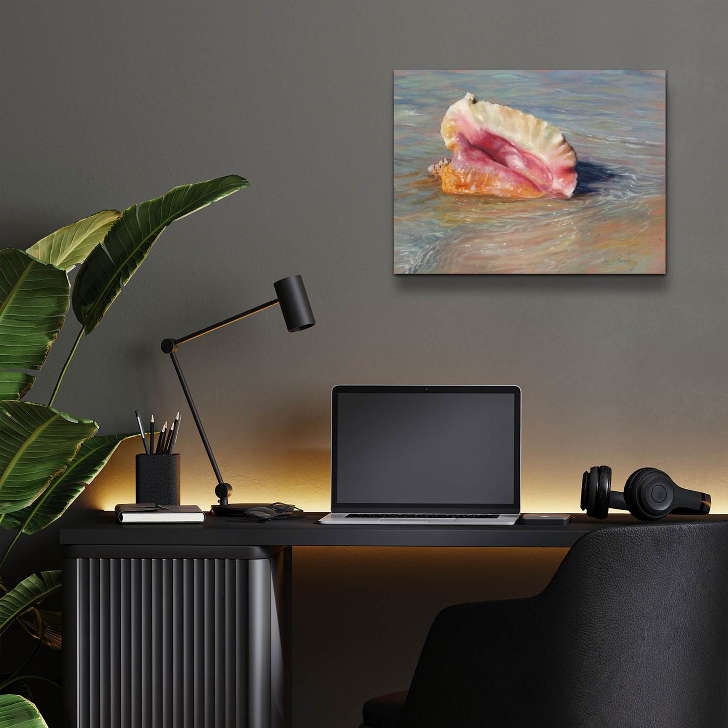 Epic Art 'Conch Shell2 by David Stribbling, Acrylic Glass Wall Art,16x12