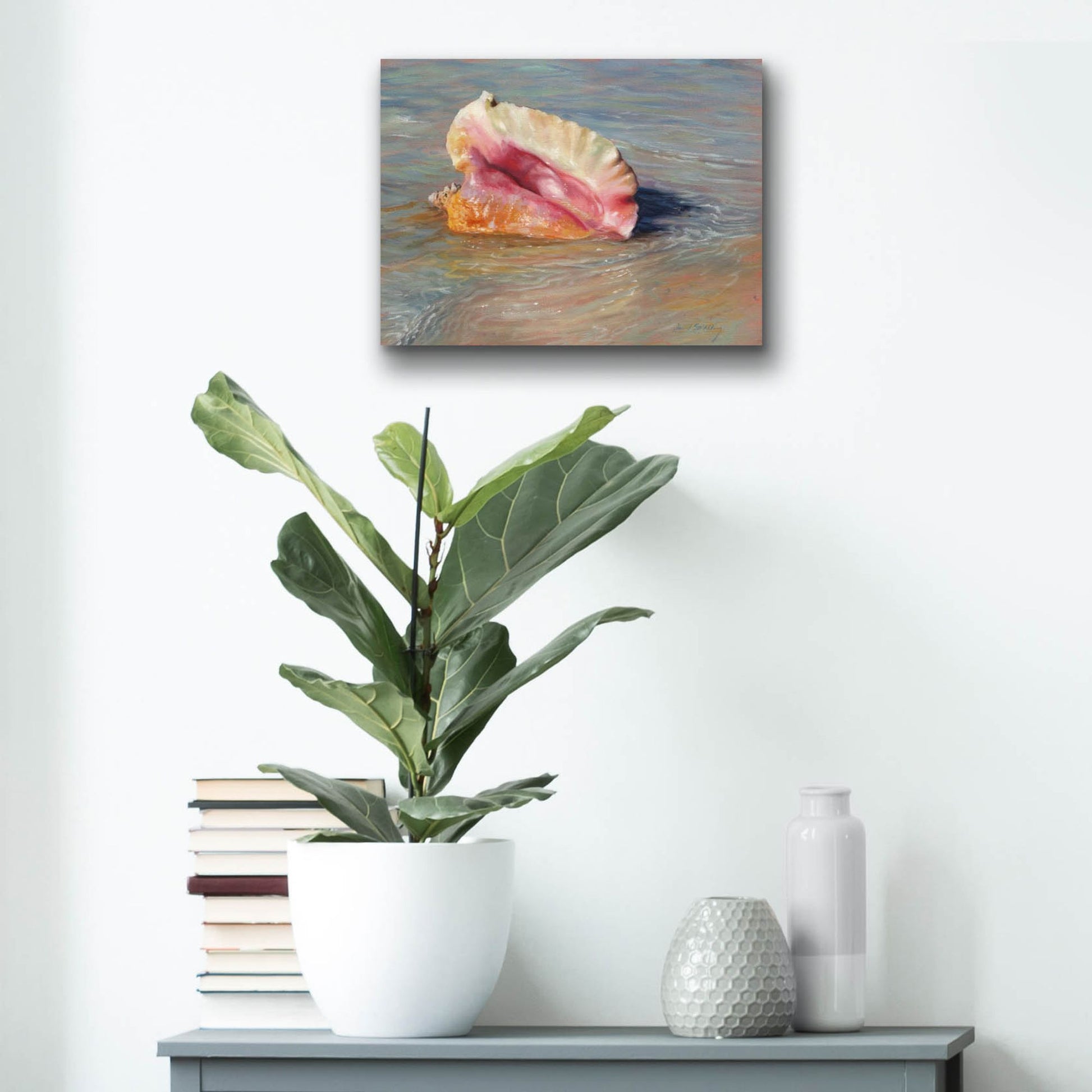 Epic Art 'Conch Shell2 by David Stribbling, Acrylic Glass Wall Art,16x12