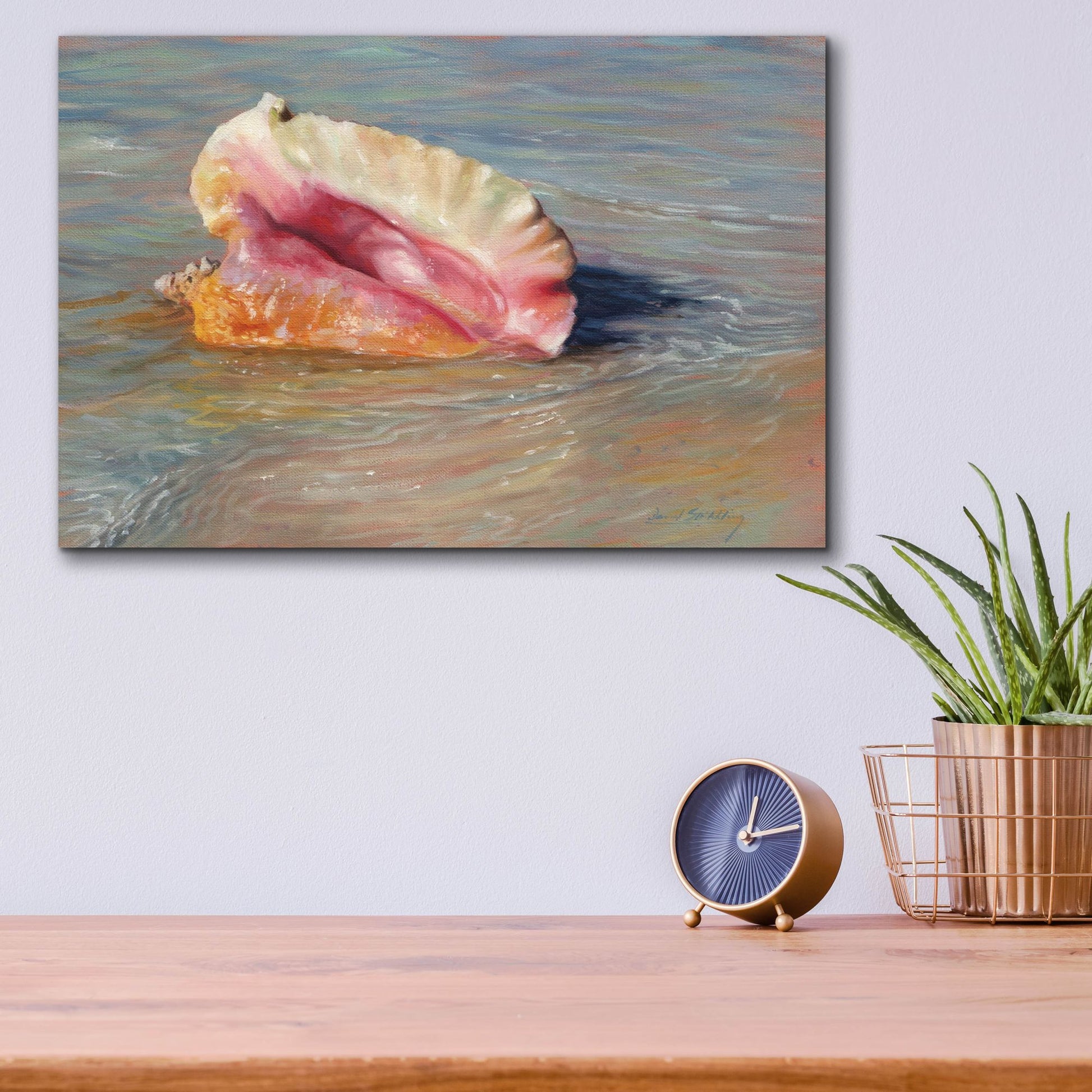 Epic Art 'Conch Shell2 by David Stribbling, Acrylic Glass Wall Art,16x12