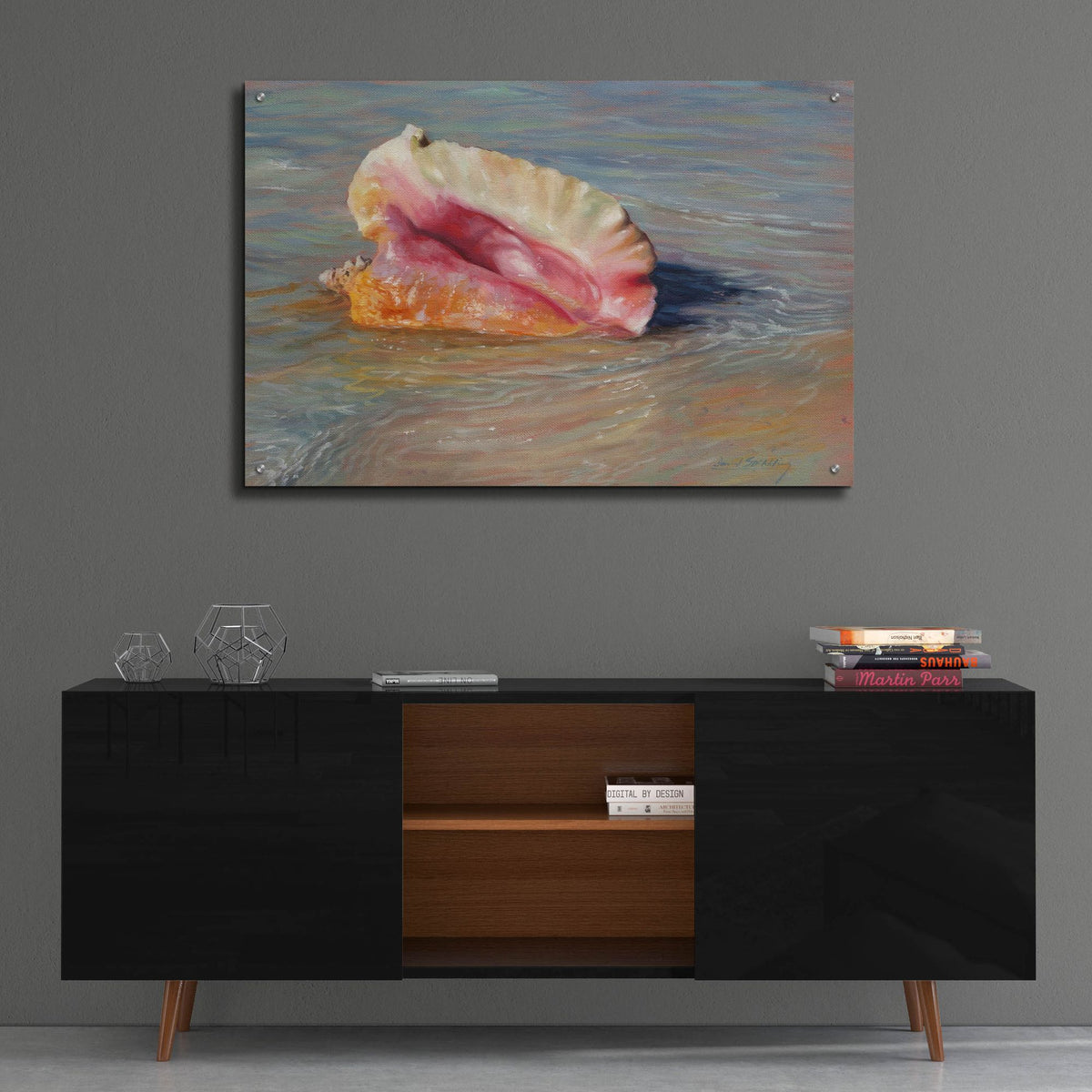 Epic Art 'Conch Shell2 by David Stribbling, Acrylic Glass Wall Art,36x24