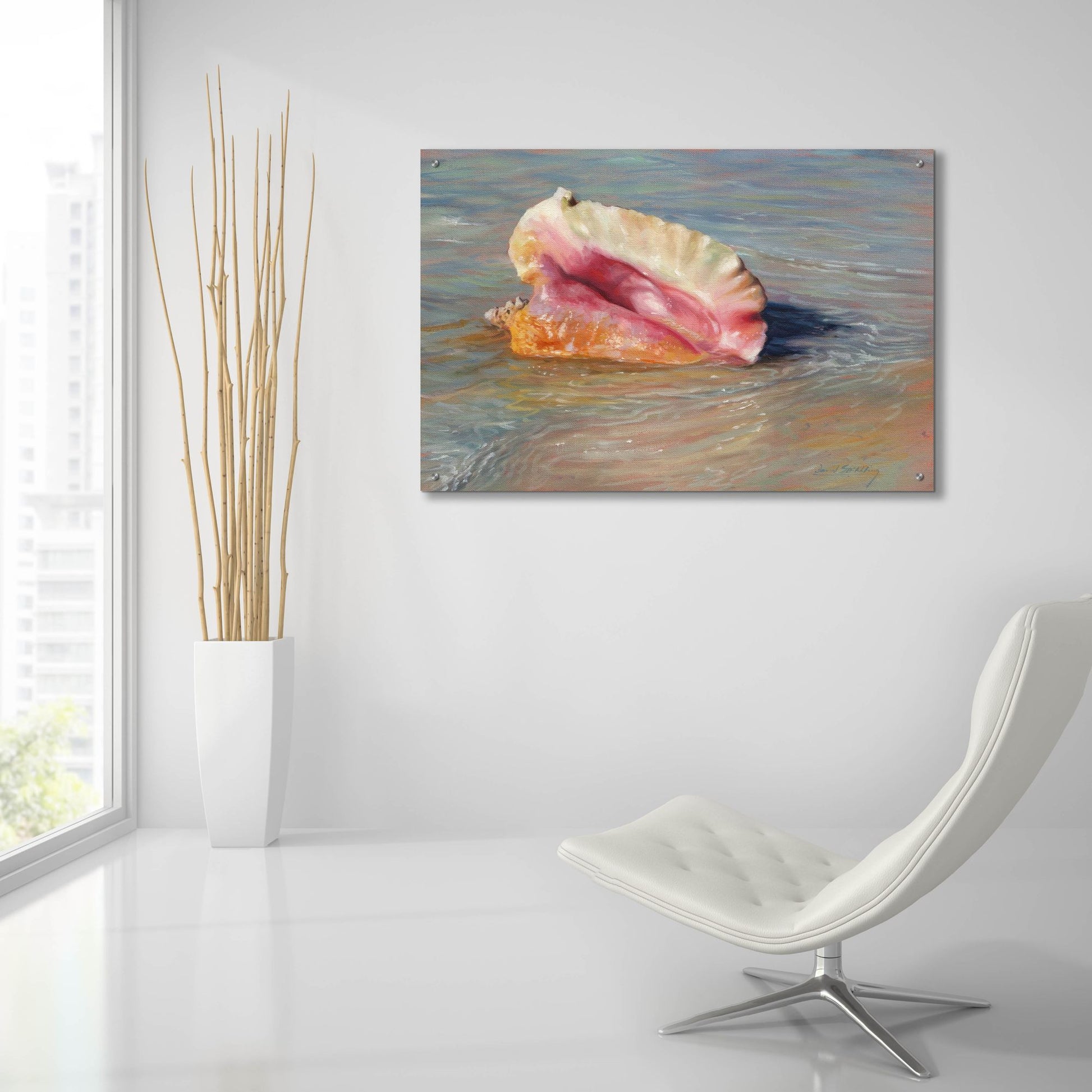 Epic Art 'Conch Shell2 by David Stribbling, Acrylic Glass Wall Art,36x24