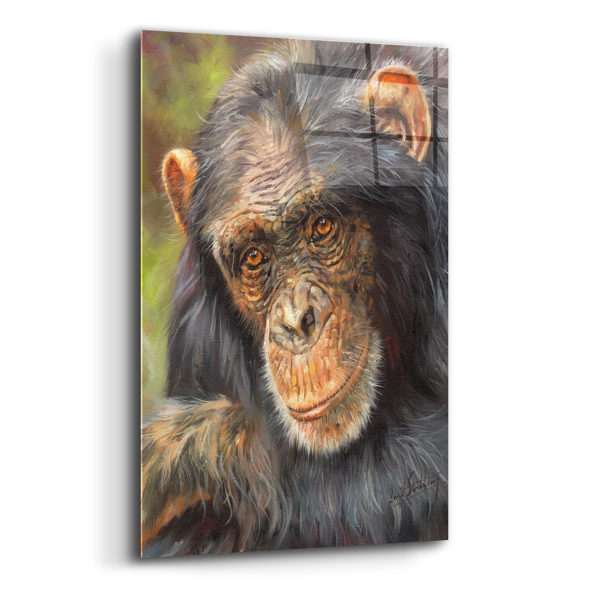 Epic Art 'Chimp The Thinker2 by David Stribbling, Acrylic Glass Wall Art,12x16