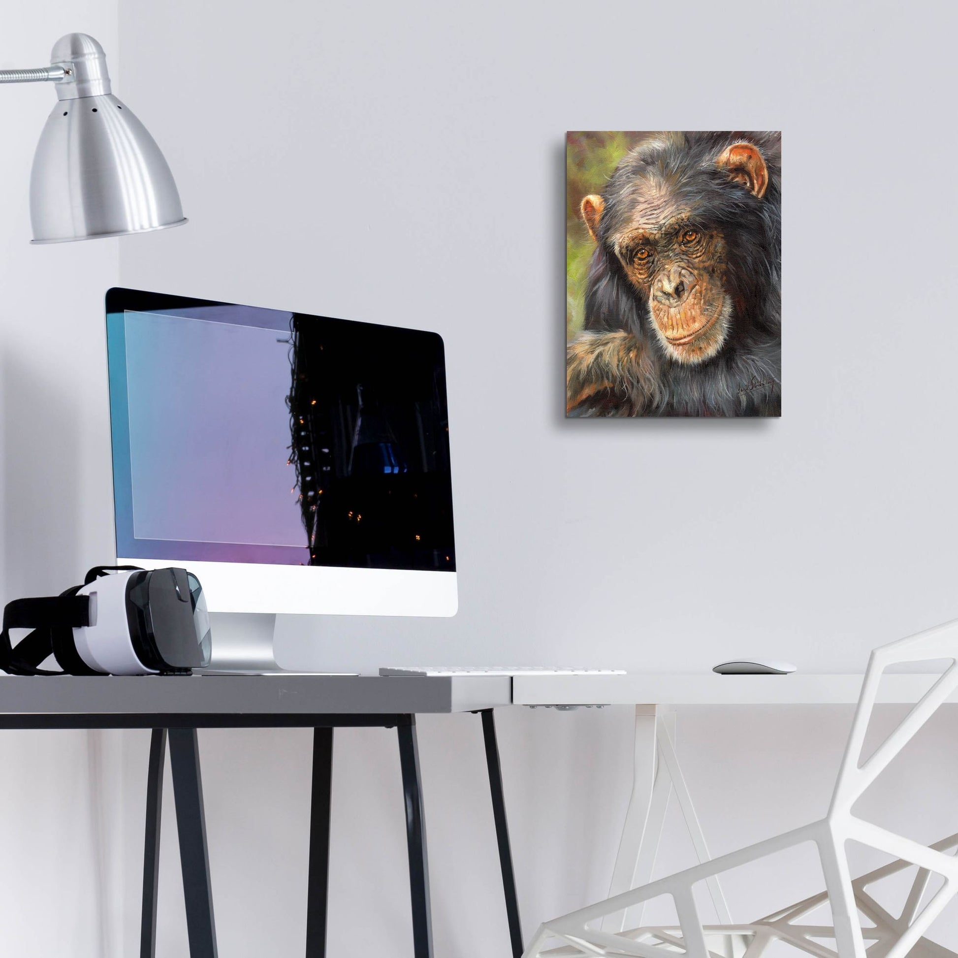 Epic Art 'Chimp The Thinker2 by David Stribbling, Acrylic Glass Wall Art,12x16