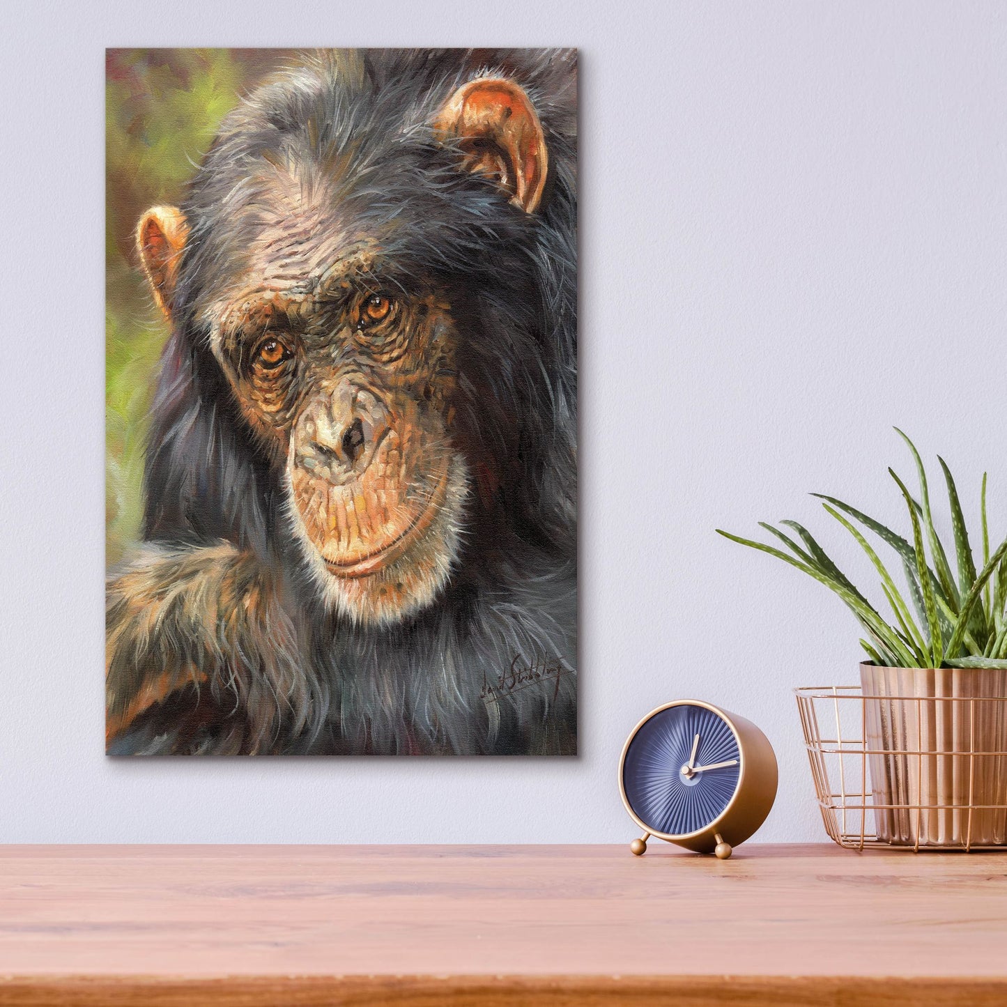 Epic Art 'Chimp The Thinker2 by David Stribbling, Acrylic Glass Wall Art,12x16