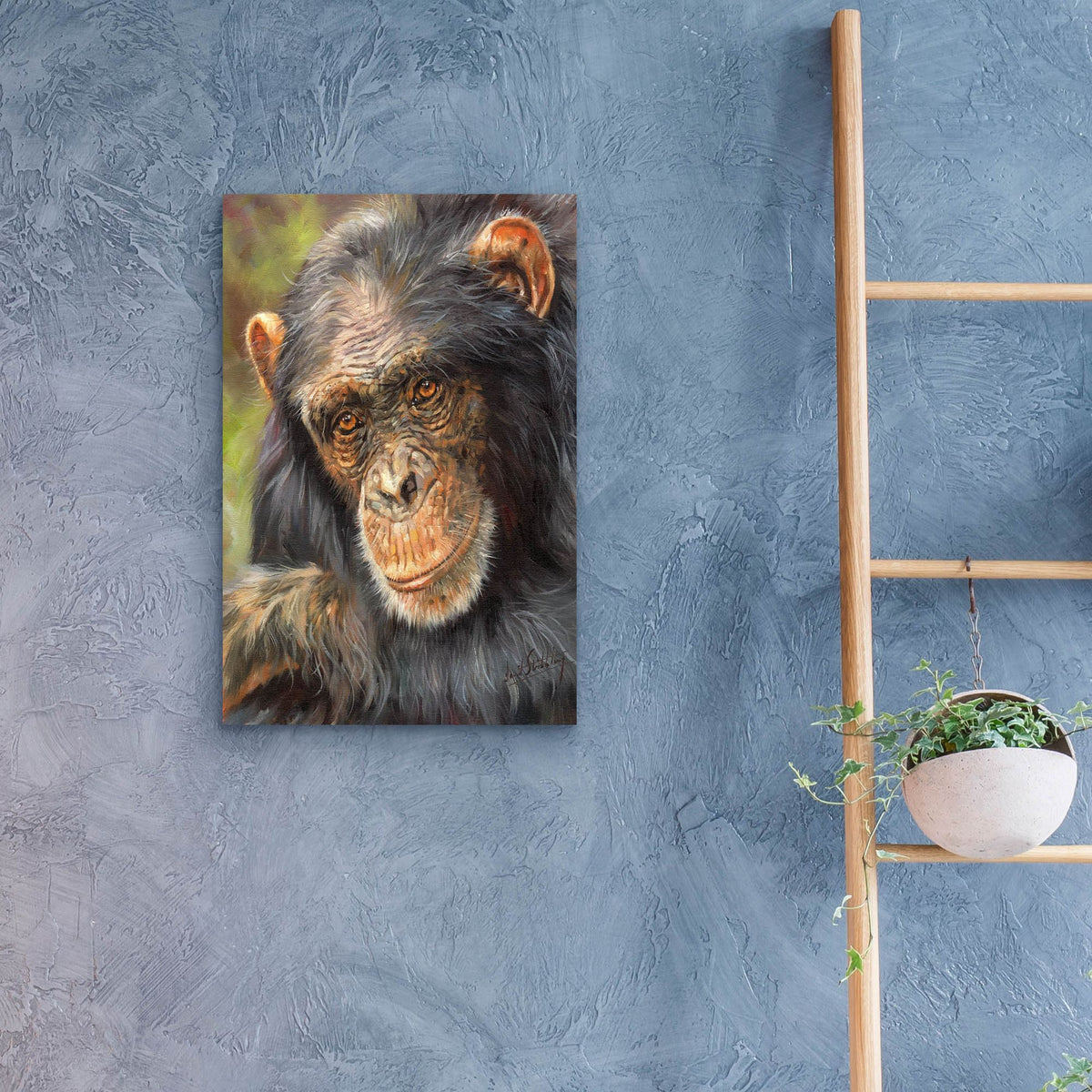 Epic Art 'Chimp The Thinker2 by David Stribbling, Acrylic Glass Wall Art,16x24