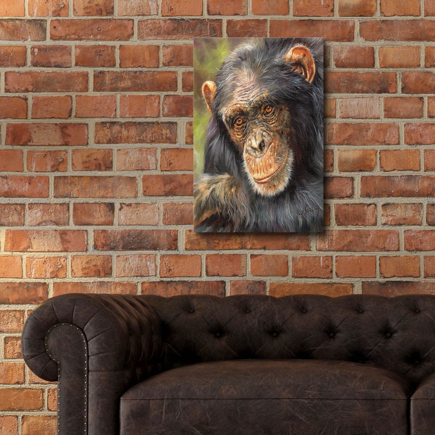 Epic Art 'Chimp The Thinker2 by David Stribbling, Acrylic Glass Wall Art,16x24